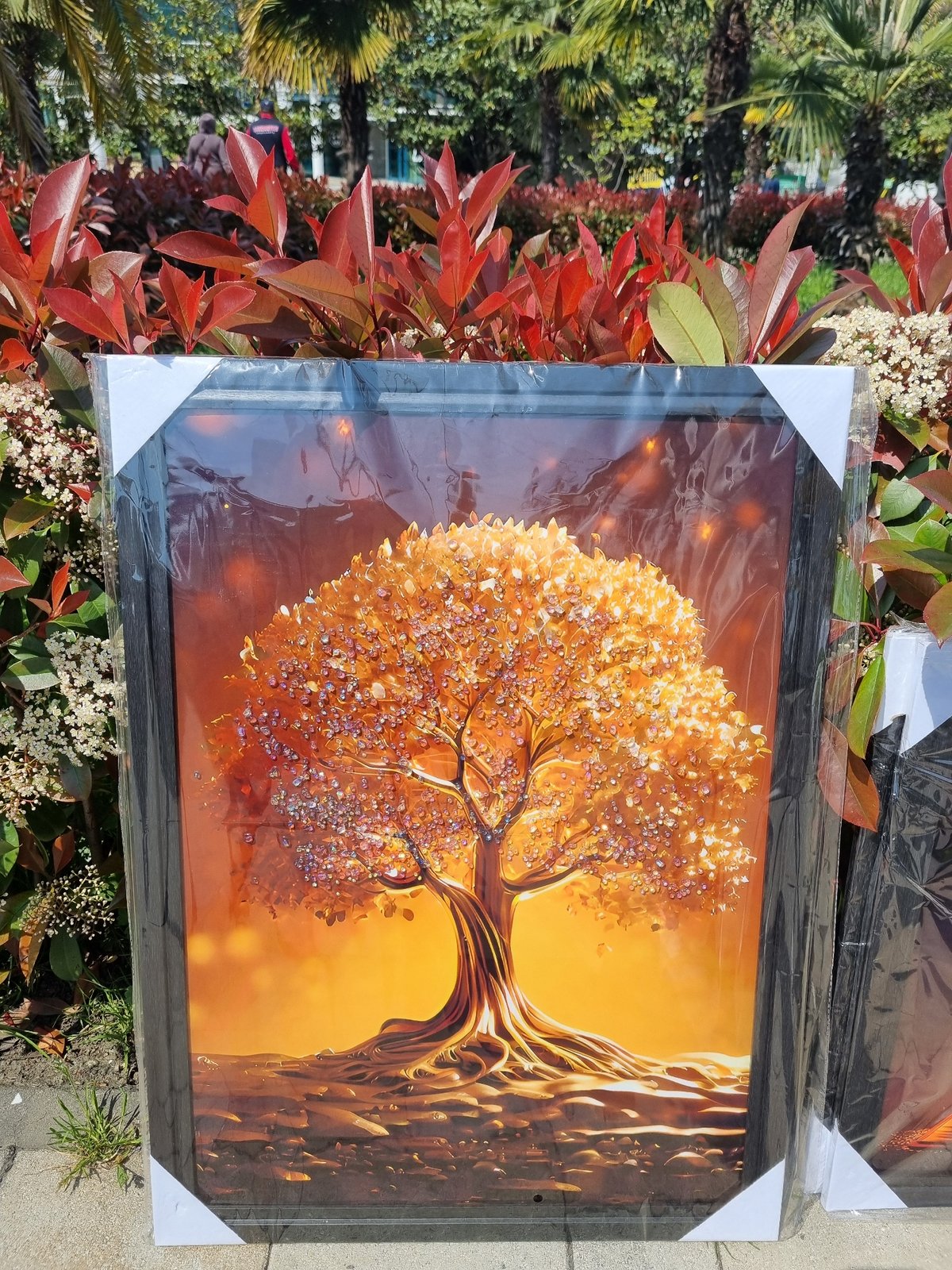 Morning scenes captured in Sochi: golden tree art, welcome sign
