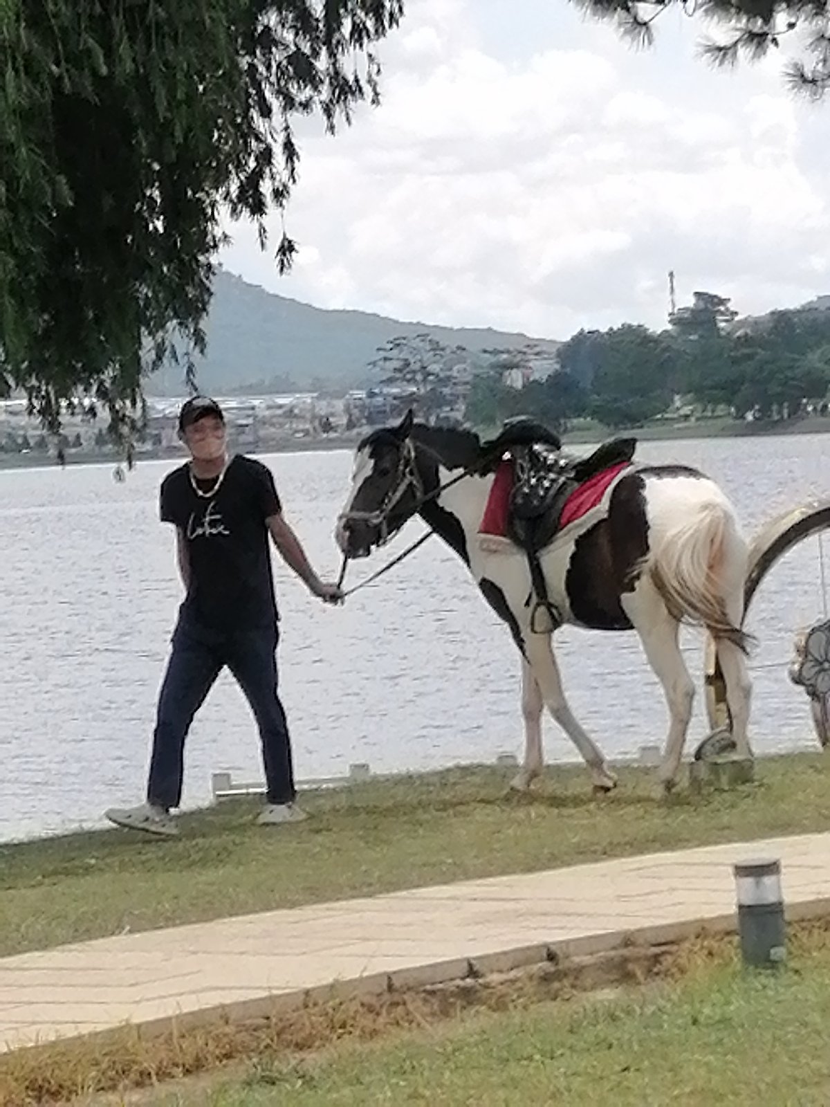 Lakeside horse rides and leisure at Xuan Huong Lake, Da Lat