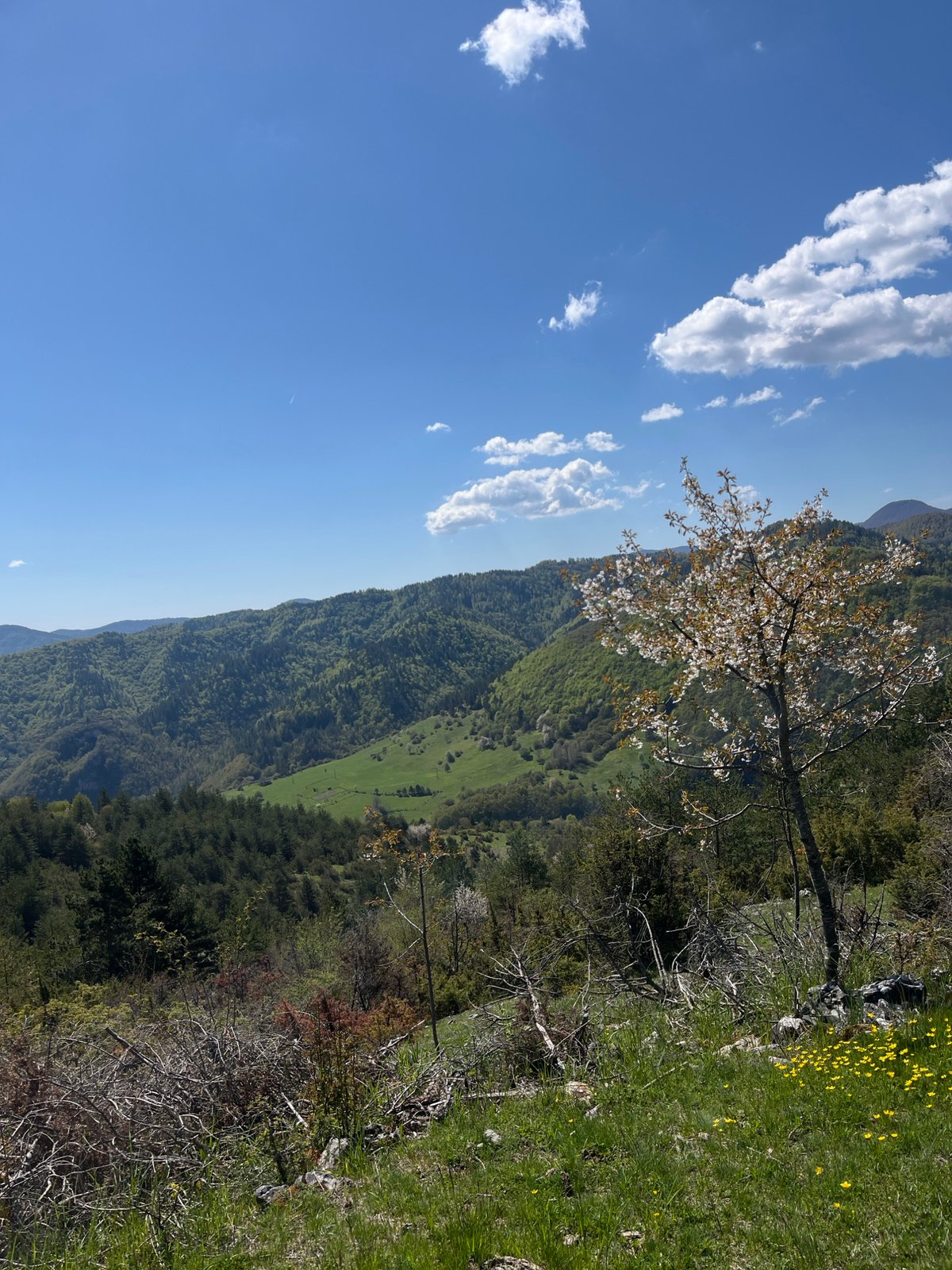 Spring mountain landscape documented near Uhlovitsa, Bulgaria