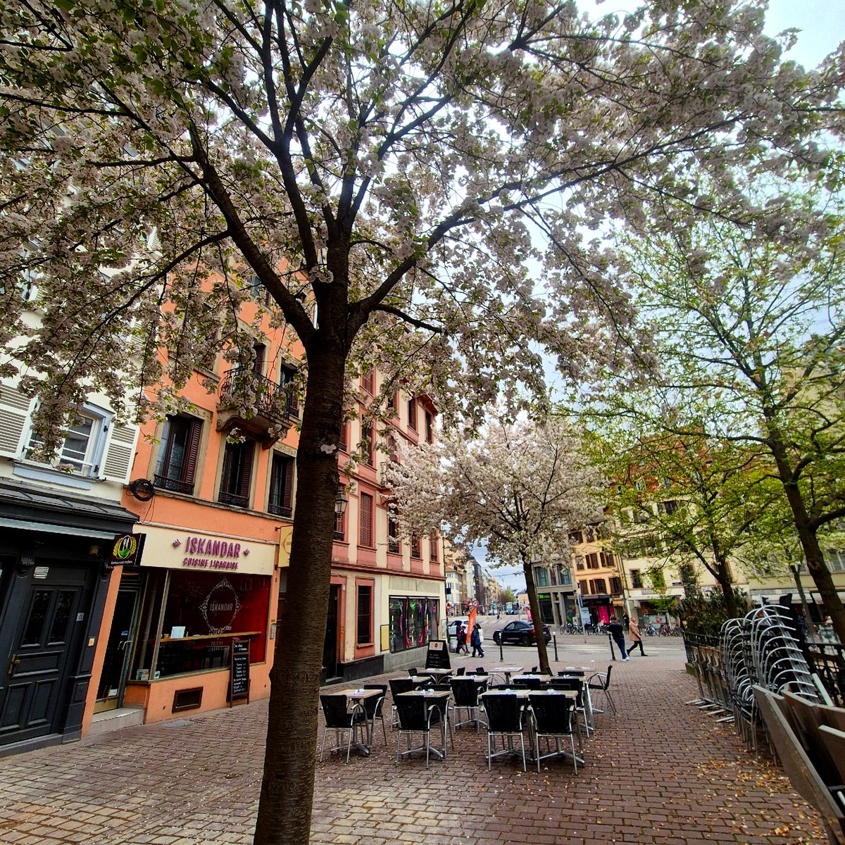 Spring morning walk documented along Strasbourg canals and streets