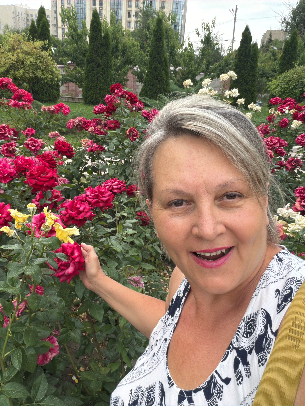 Rose portrait sessions and gate painting work
