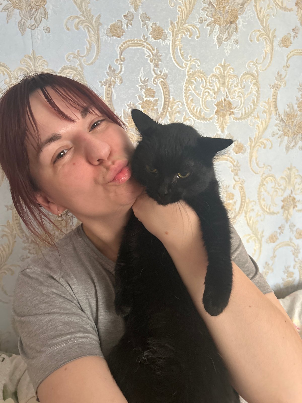 Pet moments captured in Фоки: cat selfie, dog close-up