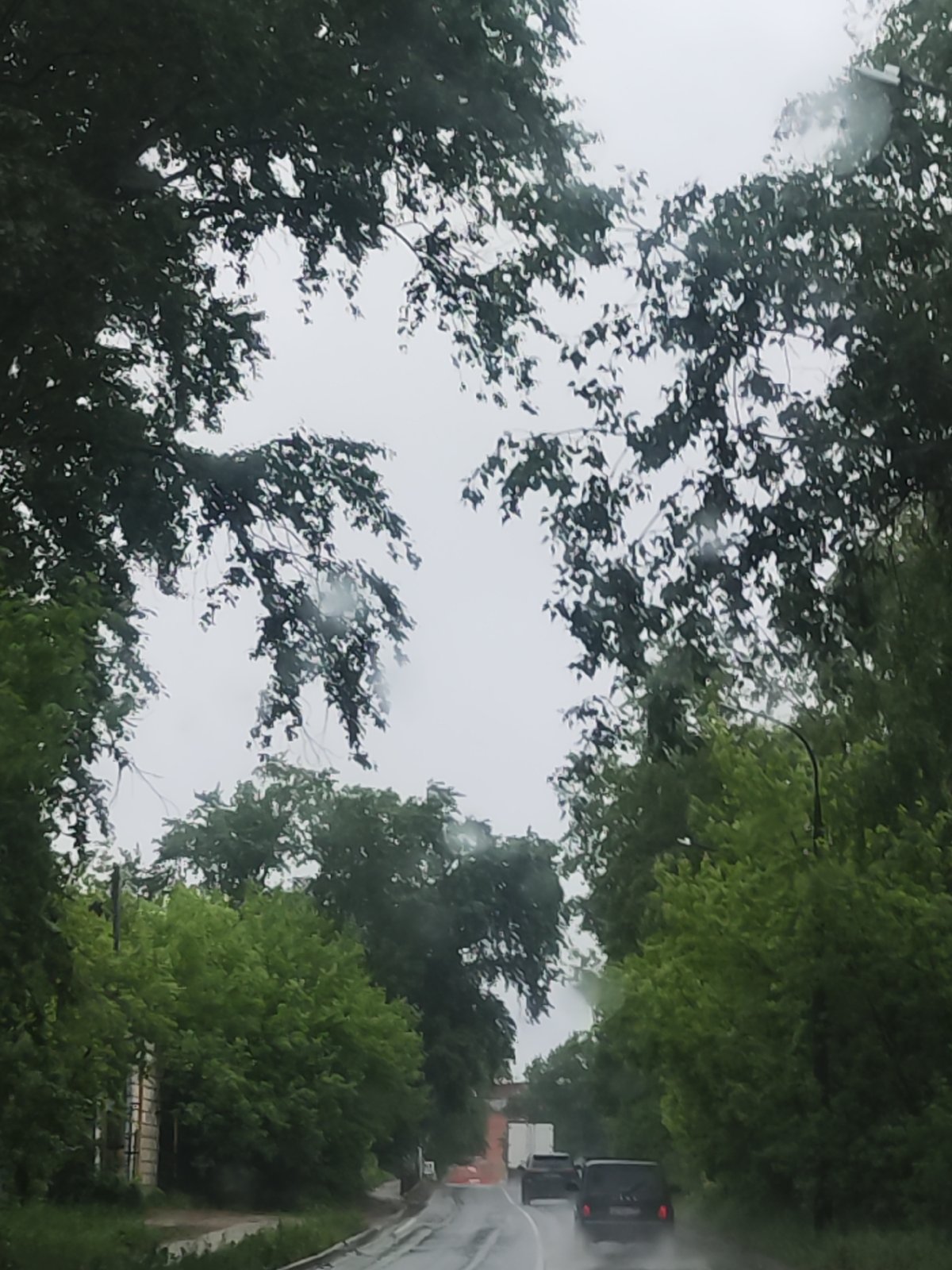 Morning rainfall documented on residential roads, May 28