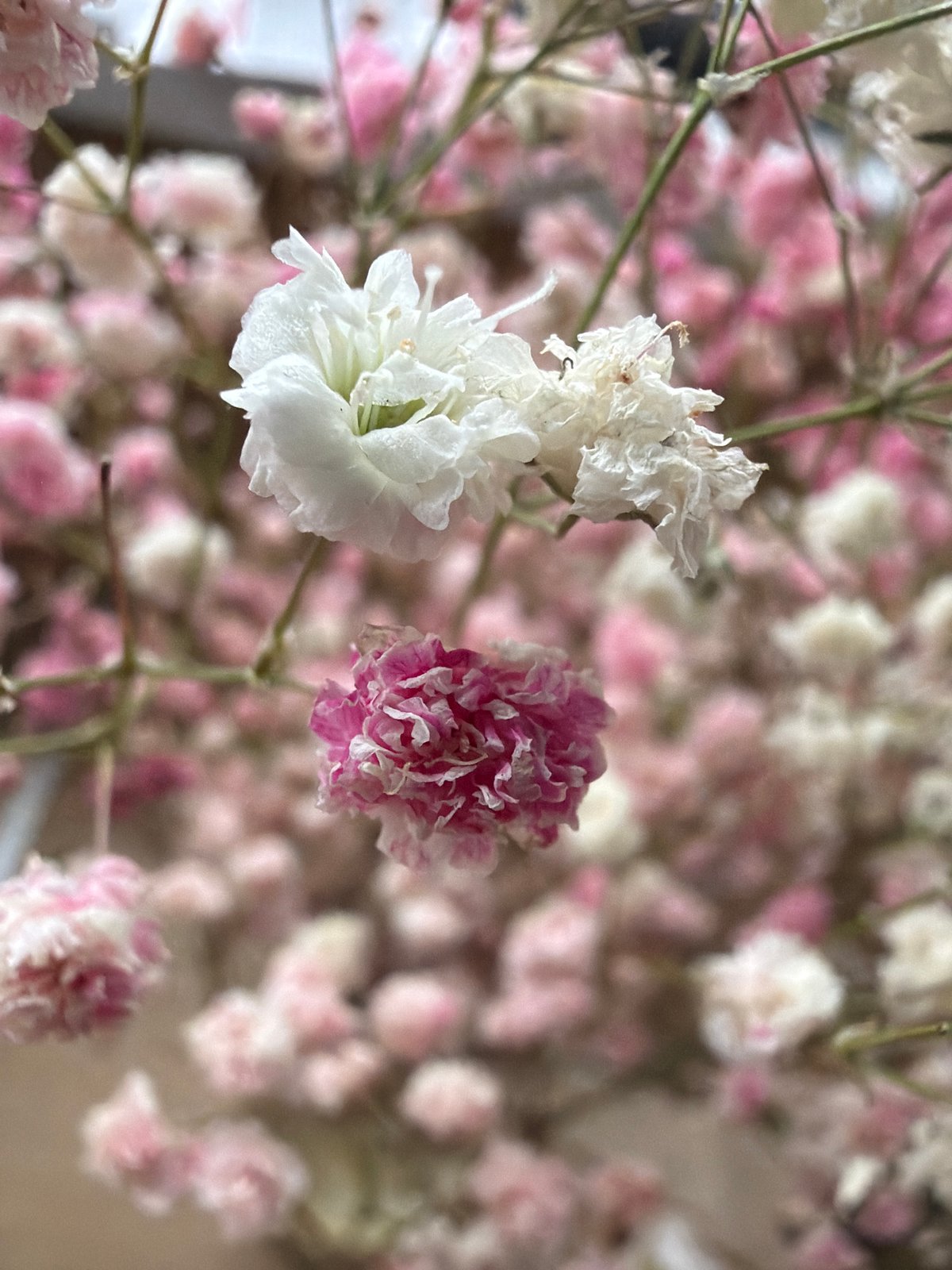 Witness documents floral bouquet in Rusalevka, Russia over four minutes