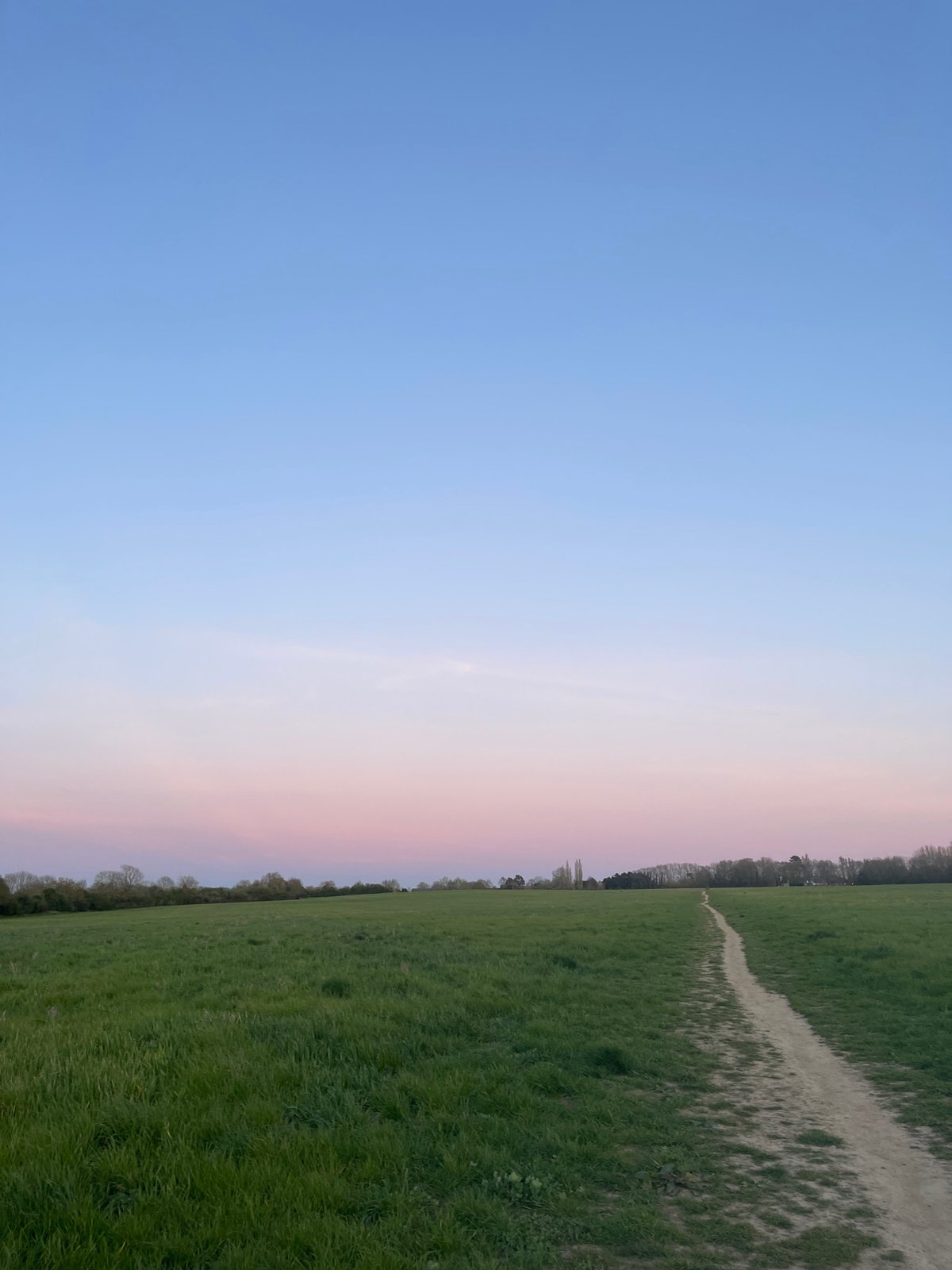 Blanketed horse grazes at sunrise in Maidstone field