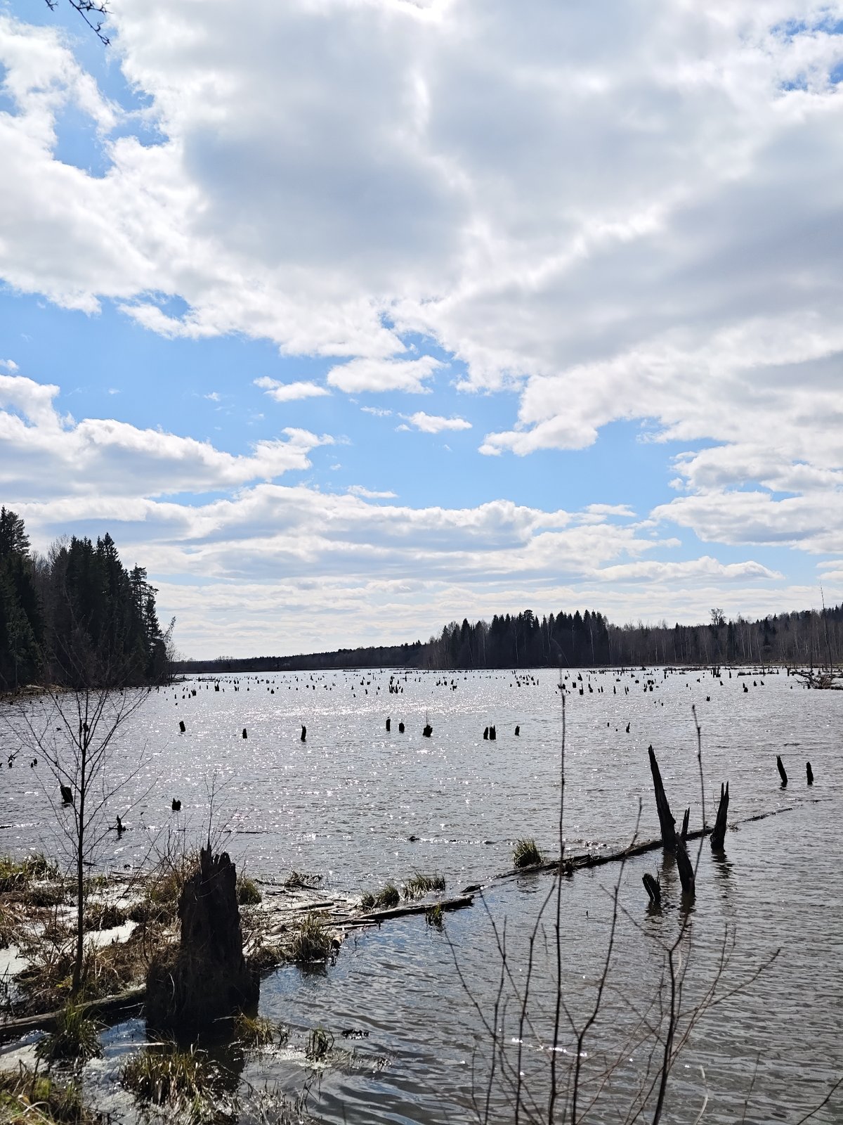 Spring nature walk documented near Ural'skoe, Russia