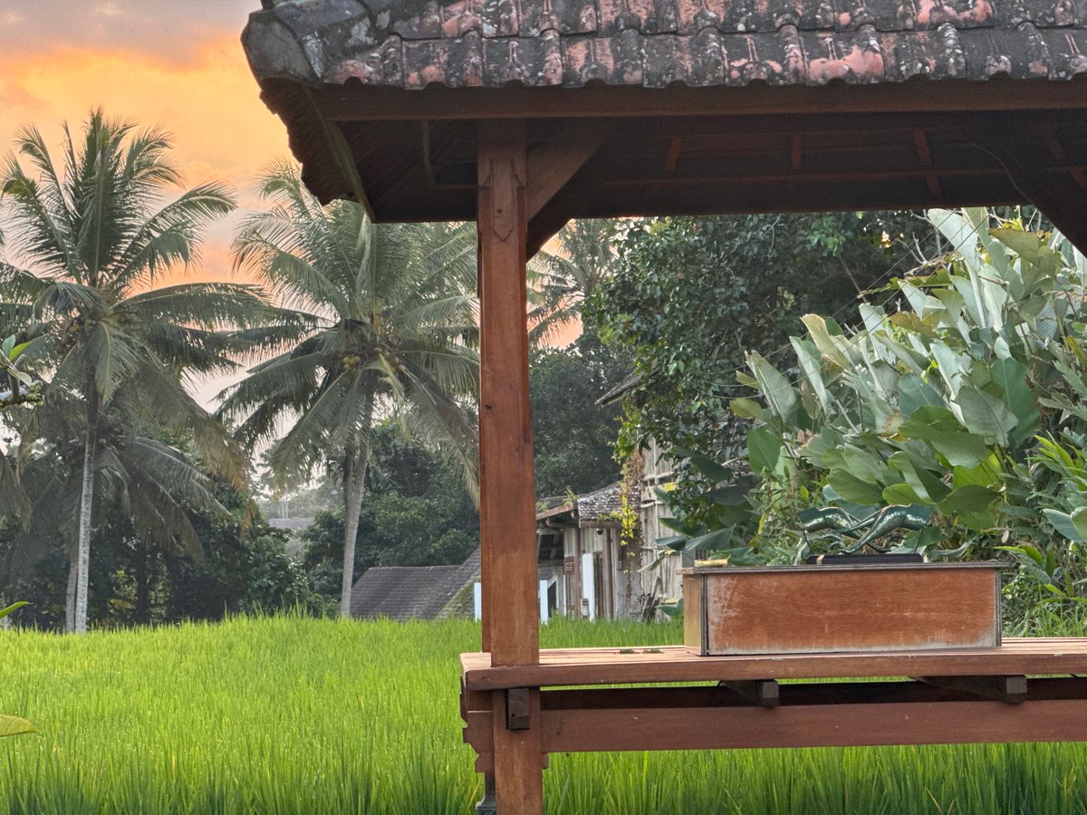 Morning life in Tegallalang — rice terraces, temples, and village streets