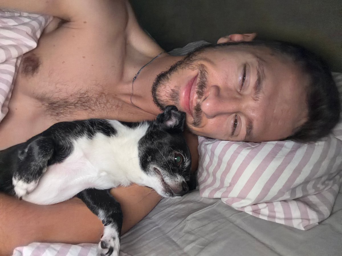Morning moments with dogs captured across Tel Aviv