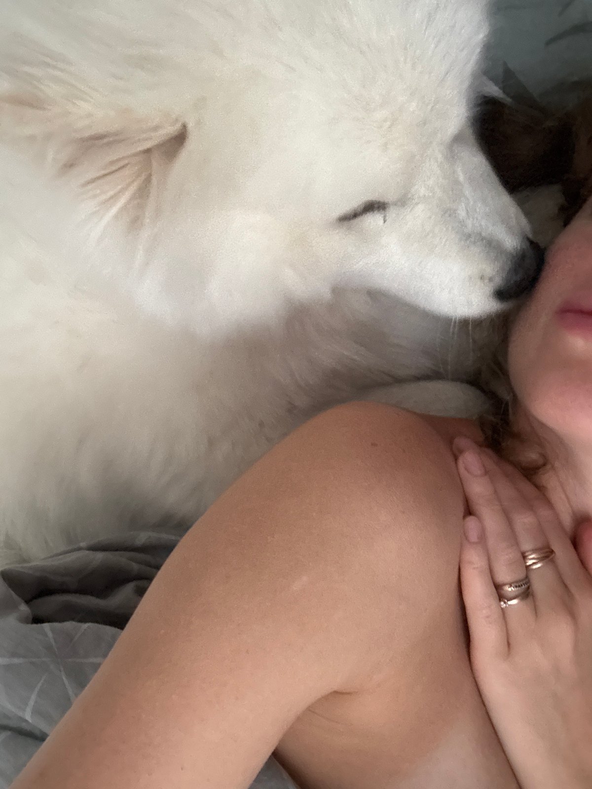 Quiet morning moments with pet captured in Chaikovsky, Russia