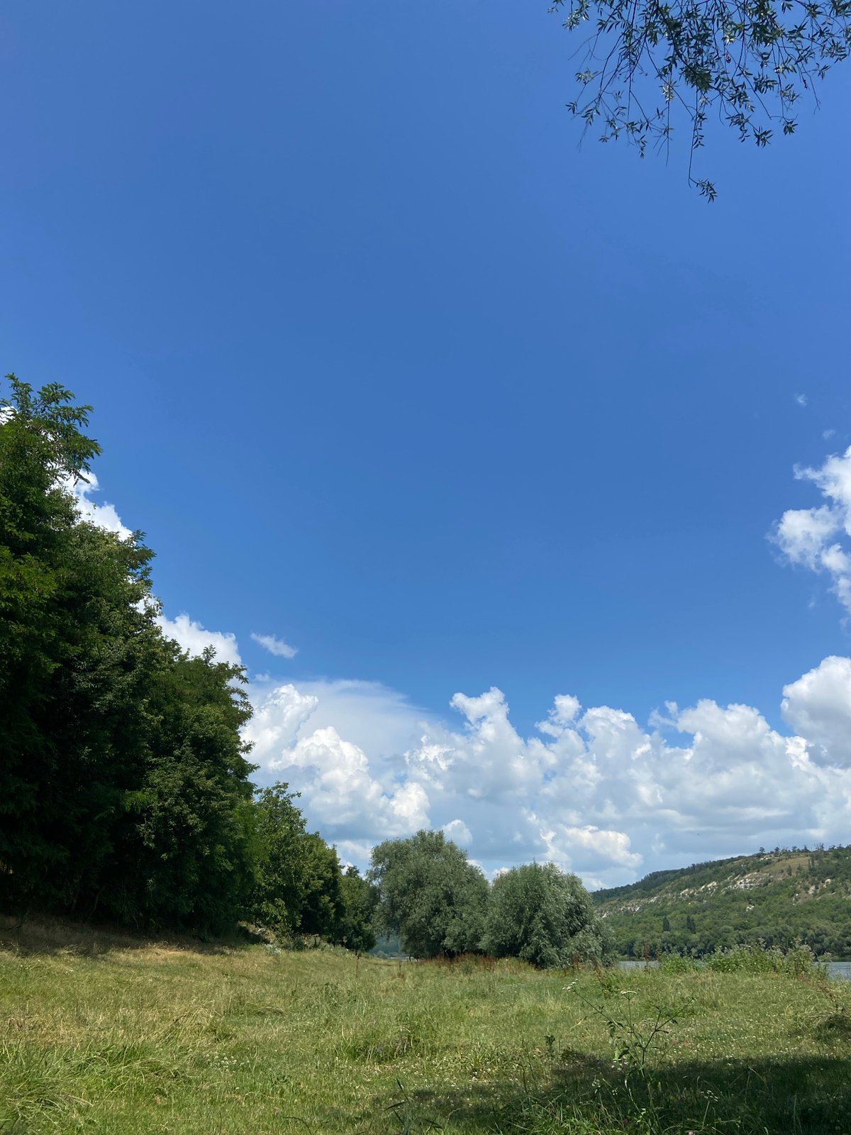 Lazy afternoon by a river, puppy in tow, clouds overhead