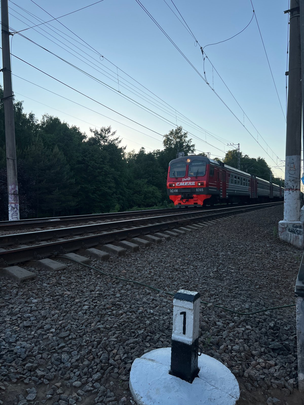 Evening stroll through Saint Petersburg captures trains, nature, pedestrians