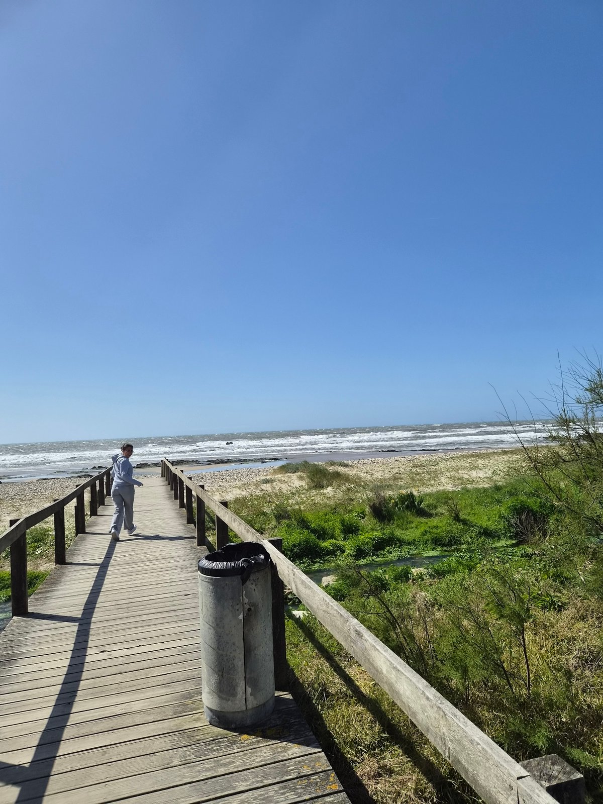 Woman and dog enjoy beach afternoon in Esposende Portugal