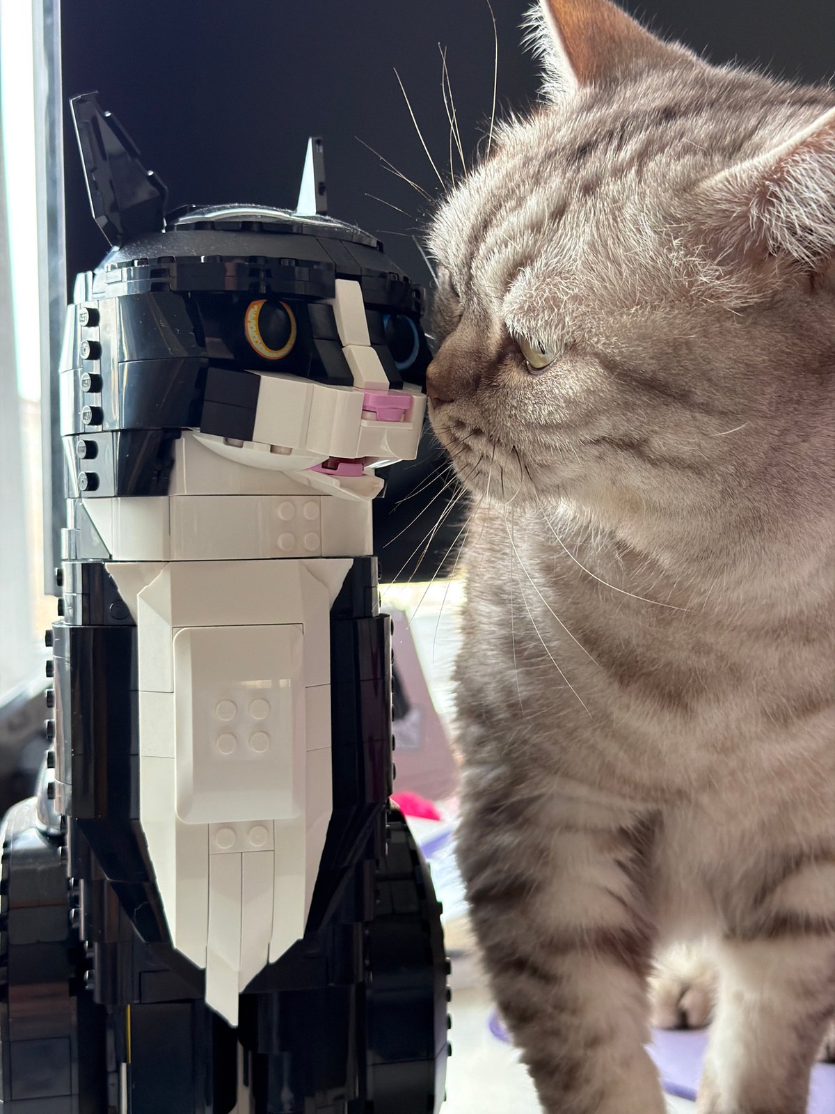 Cat investigates Lego model in Riga