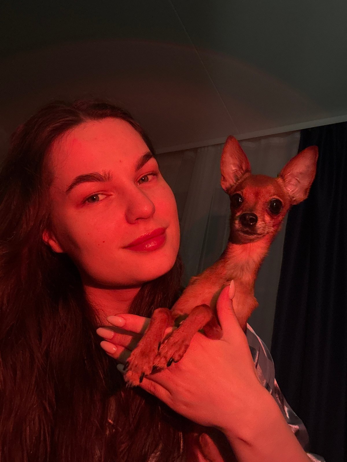 Late-night selfie session with a chihuahua, Chaikovsky