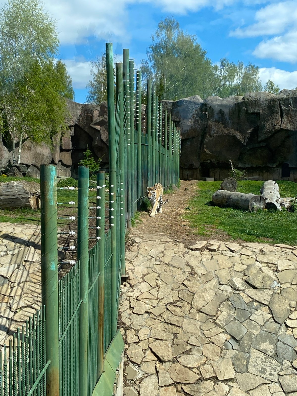 Spring zoo visit captured in Izhevsk, Russia