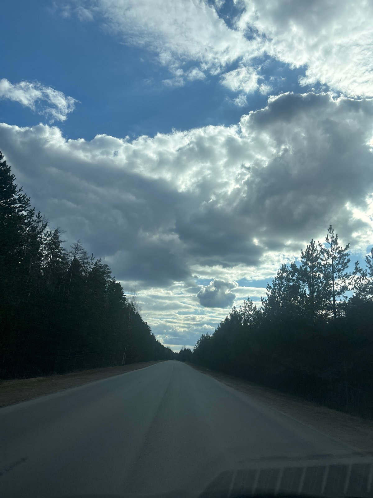 Driver travels forest road near Chaikovsky, Russia