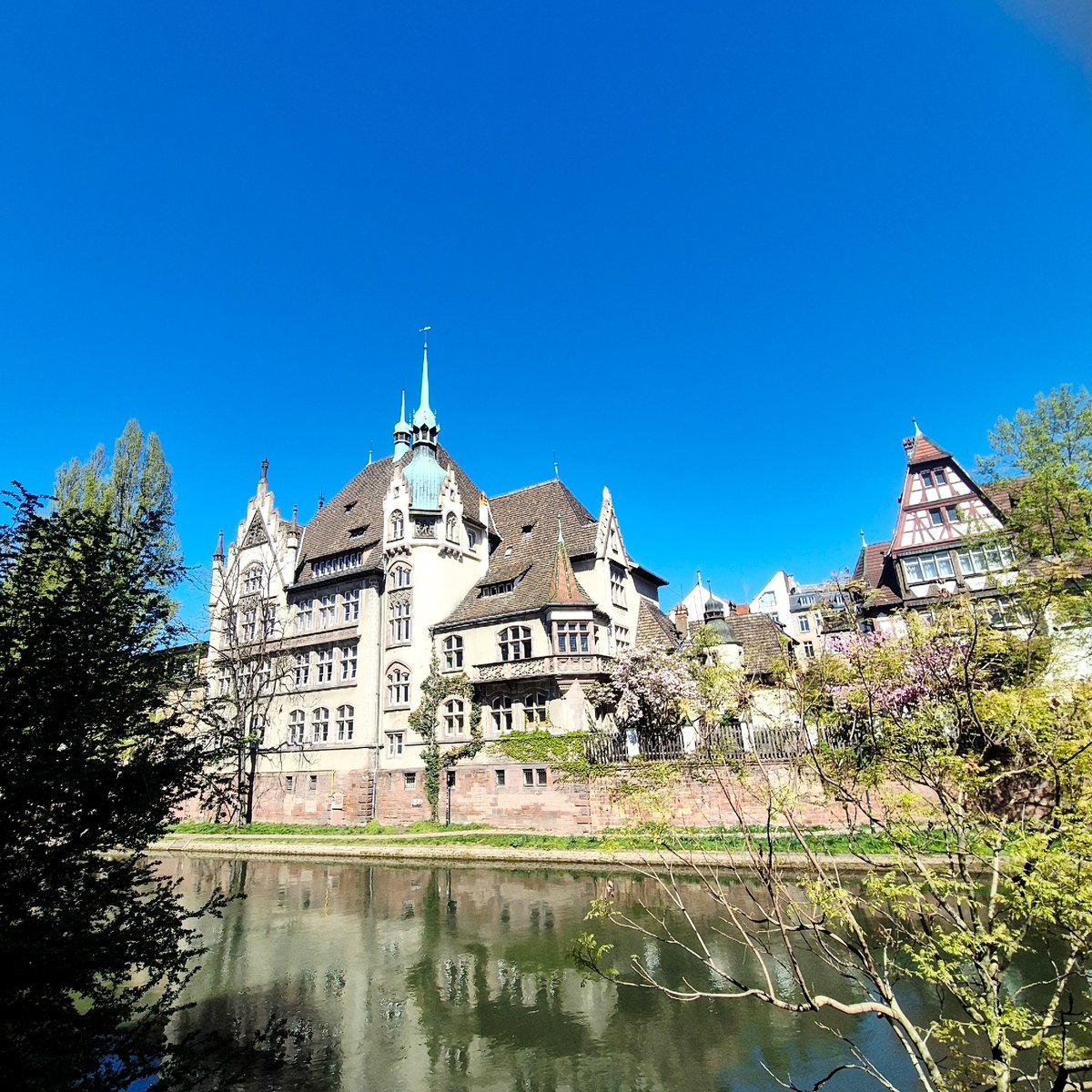 Tour boats navigate Strasbourg canals as spring blooms emerge