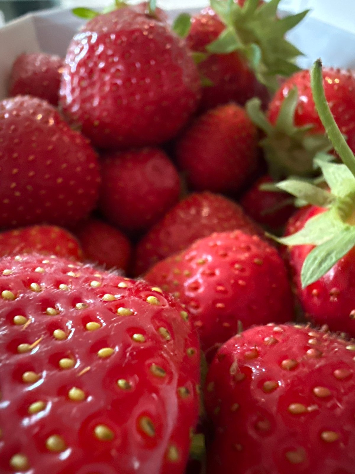 Swiss resident documents strawberry smoothie making, home scenes
