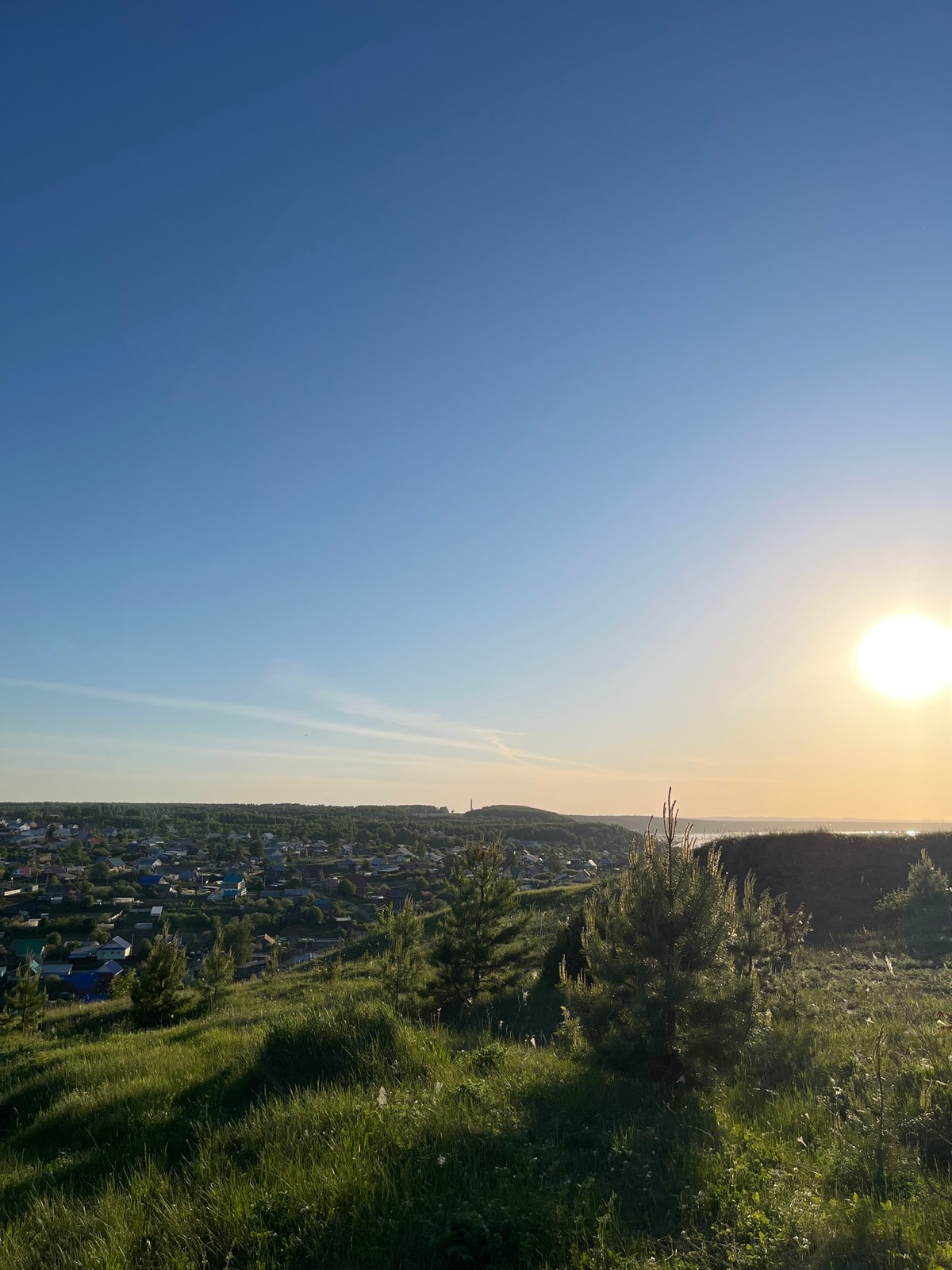 Spring blooms documented across Russian towns during afternoon hours