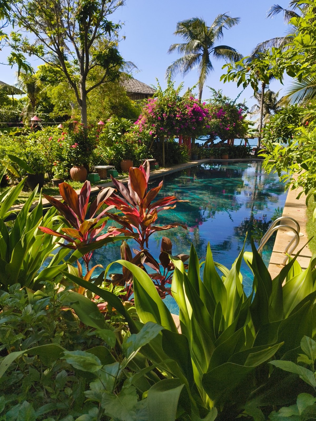 Lazy morning at a tropical resort in Mũi Né, Vietnam