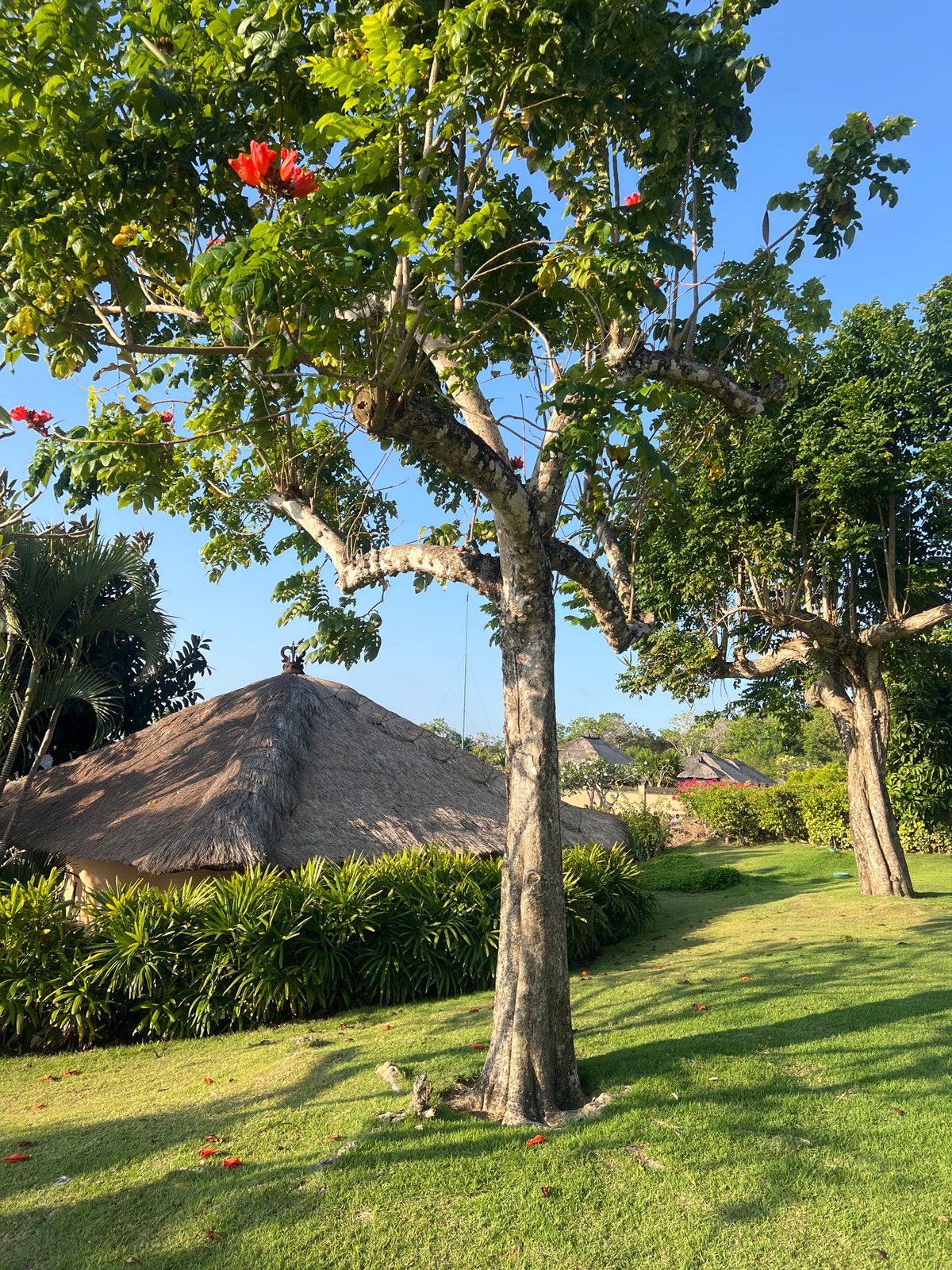 Lazy resort morning in Kuta Selatan, Bali