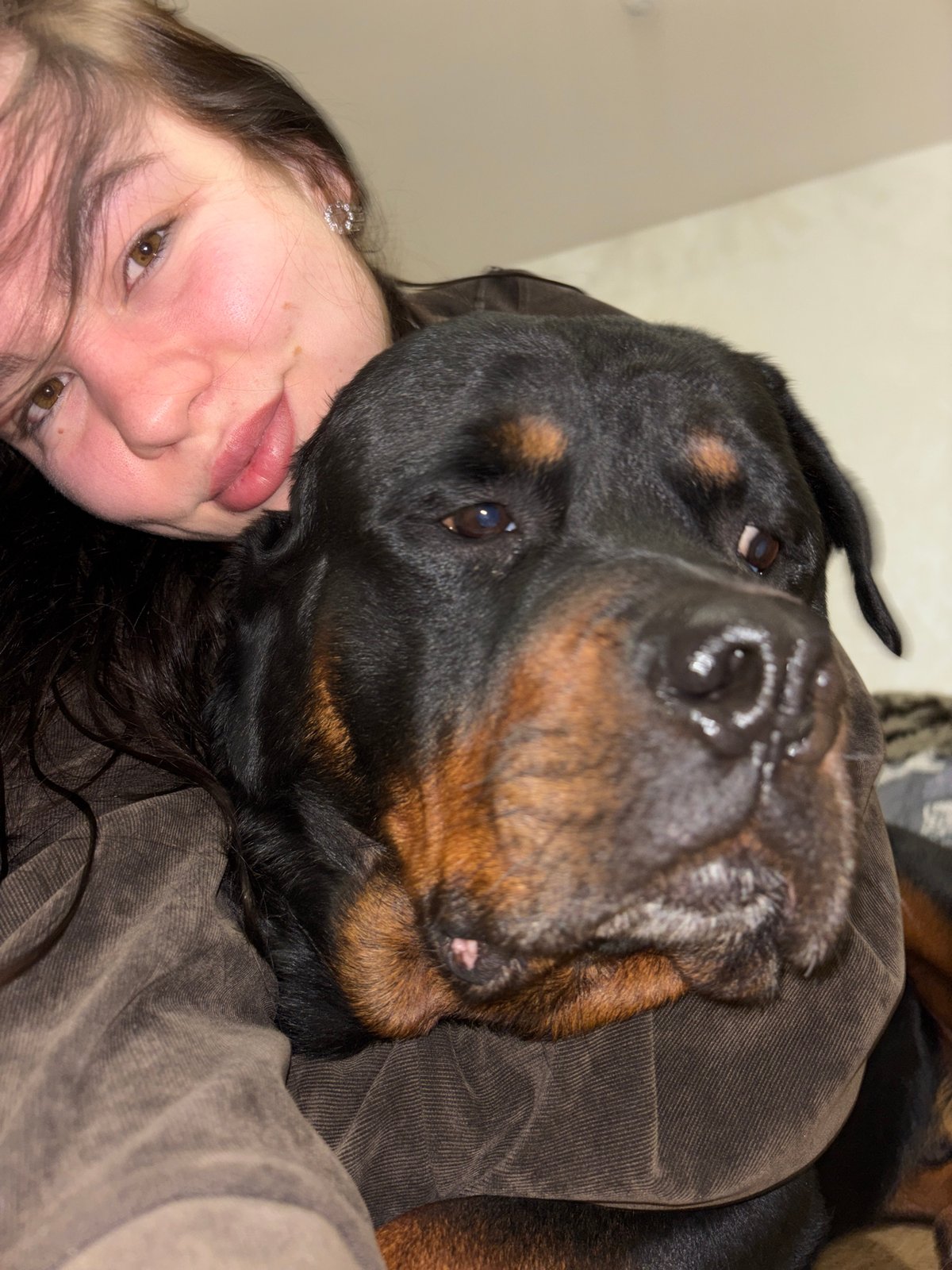 Person poses with Rottweiler in intimate portrait, Perm