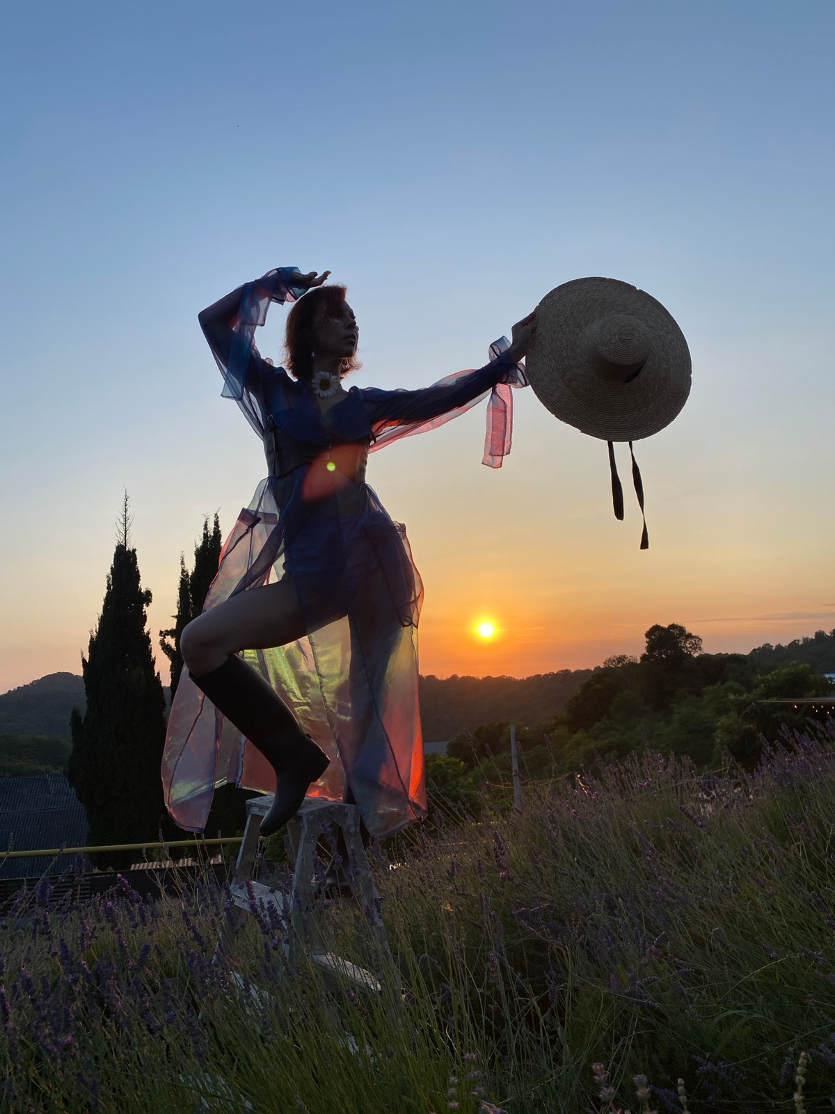 Lavender field and garden shoot at sunset, Verkhneye Uchdere