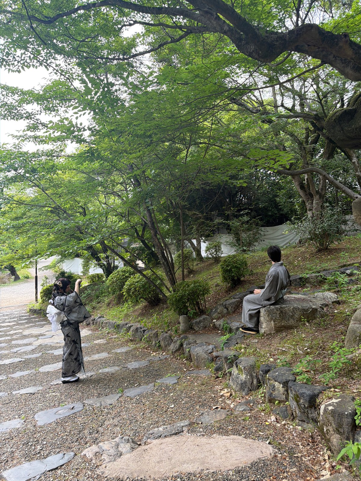 Morning temple visits across historic Kyoto sites