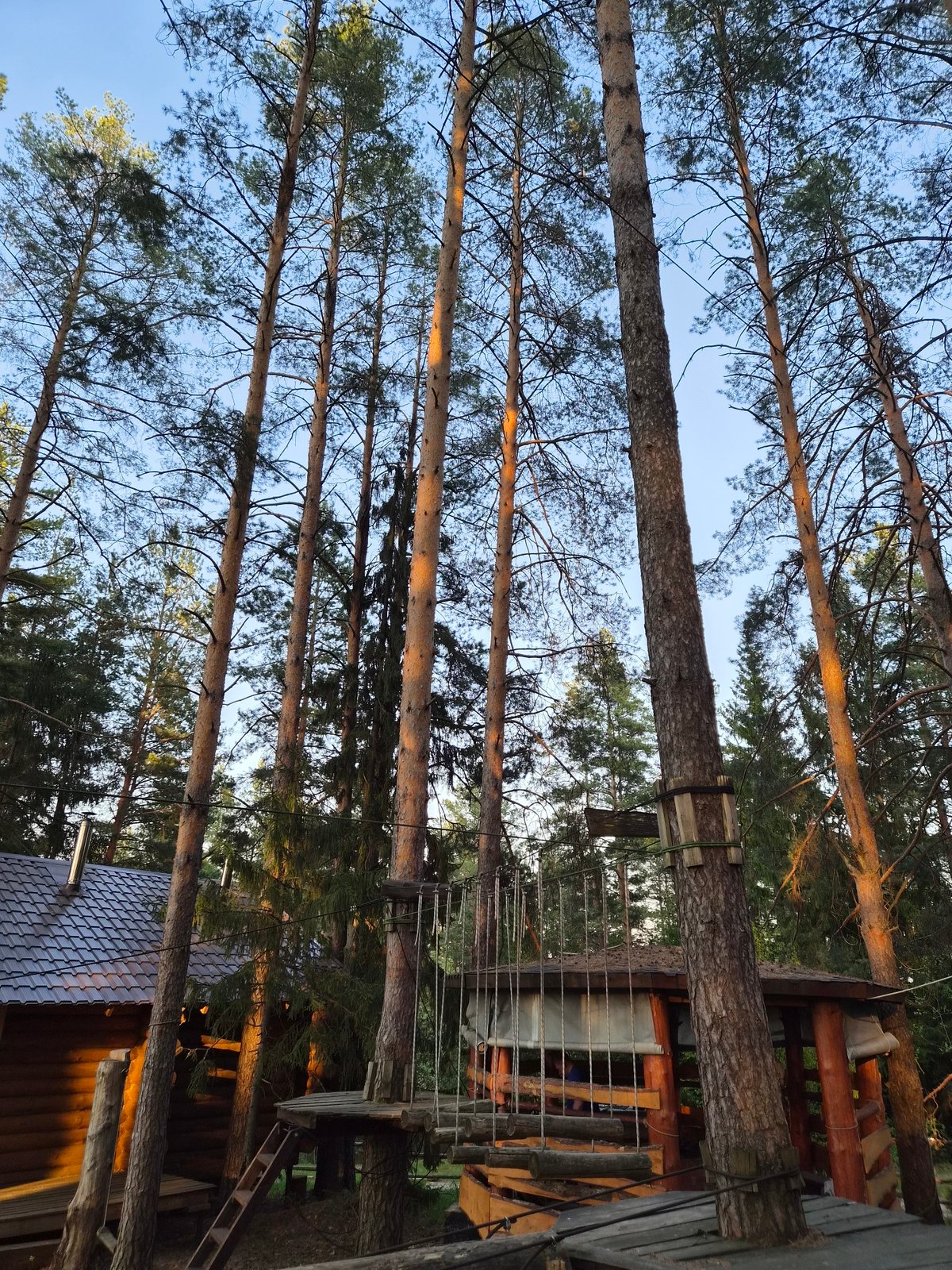 Casual moments captured in Russian forest park setting