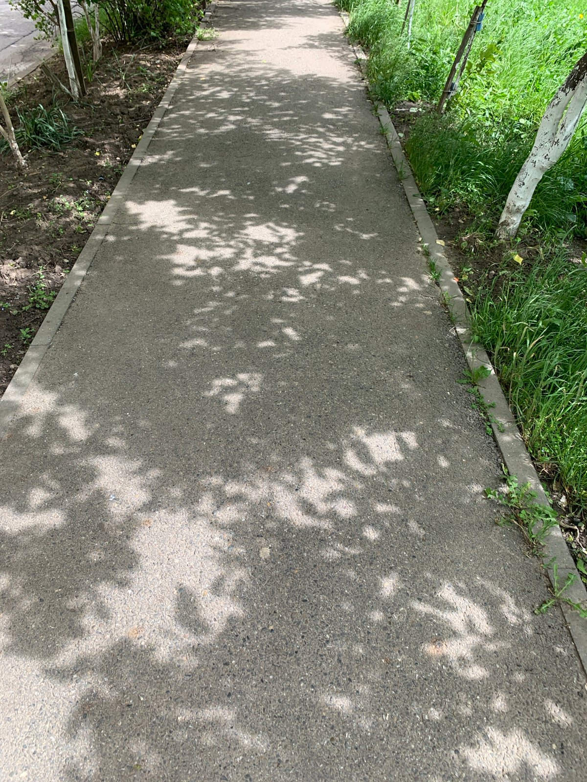 Morning neighborhood walk documented in Stavropol, Russia