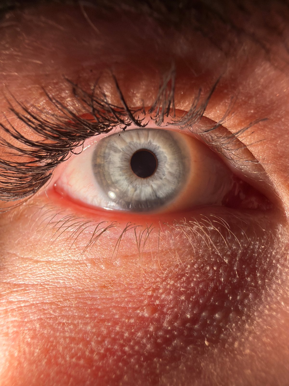 Close-up eye photography session documented at unknown location