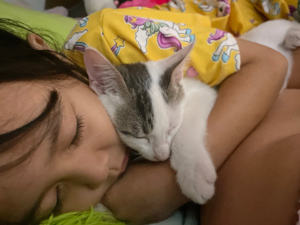 Child naps with cat in Davao City bedroom