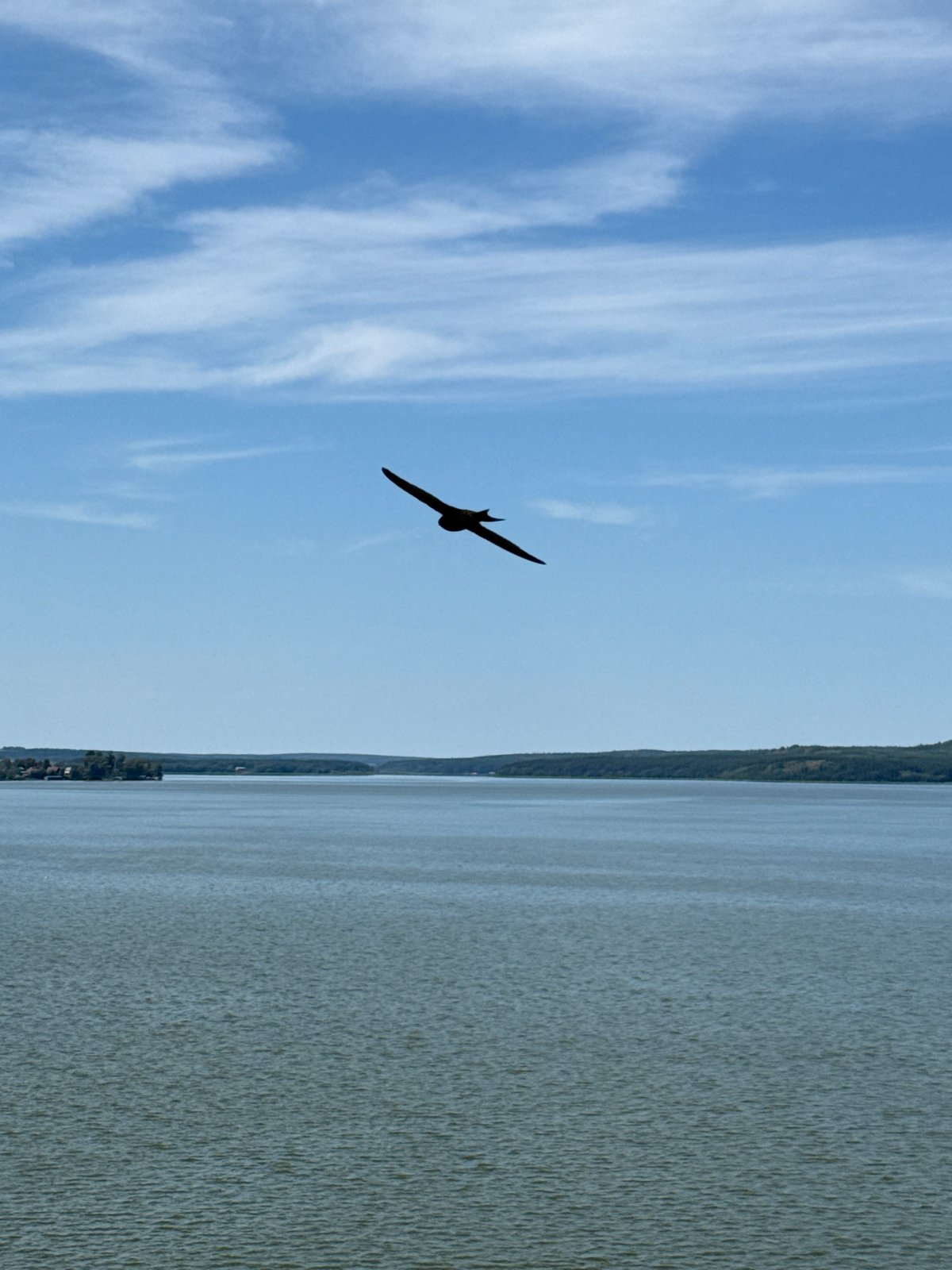 Calm morning at Votkinsk Reservoir, birds drifting overhead