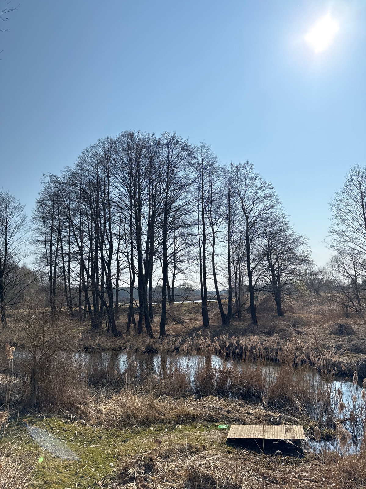 Cyclist crosses bridges over Belarus watercourse on sunny morning