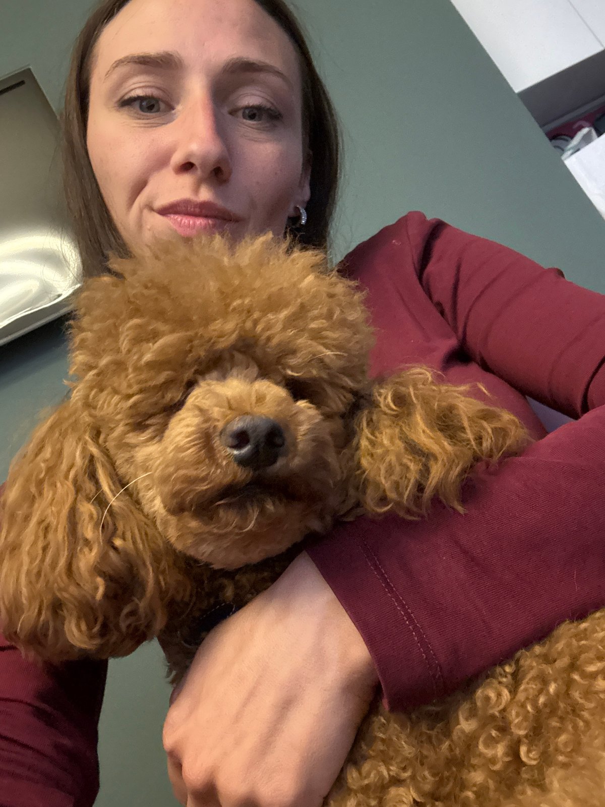 Woman plays with poodle during fruit snack in Saint Petersburg
