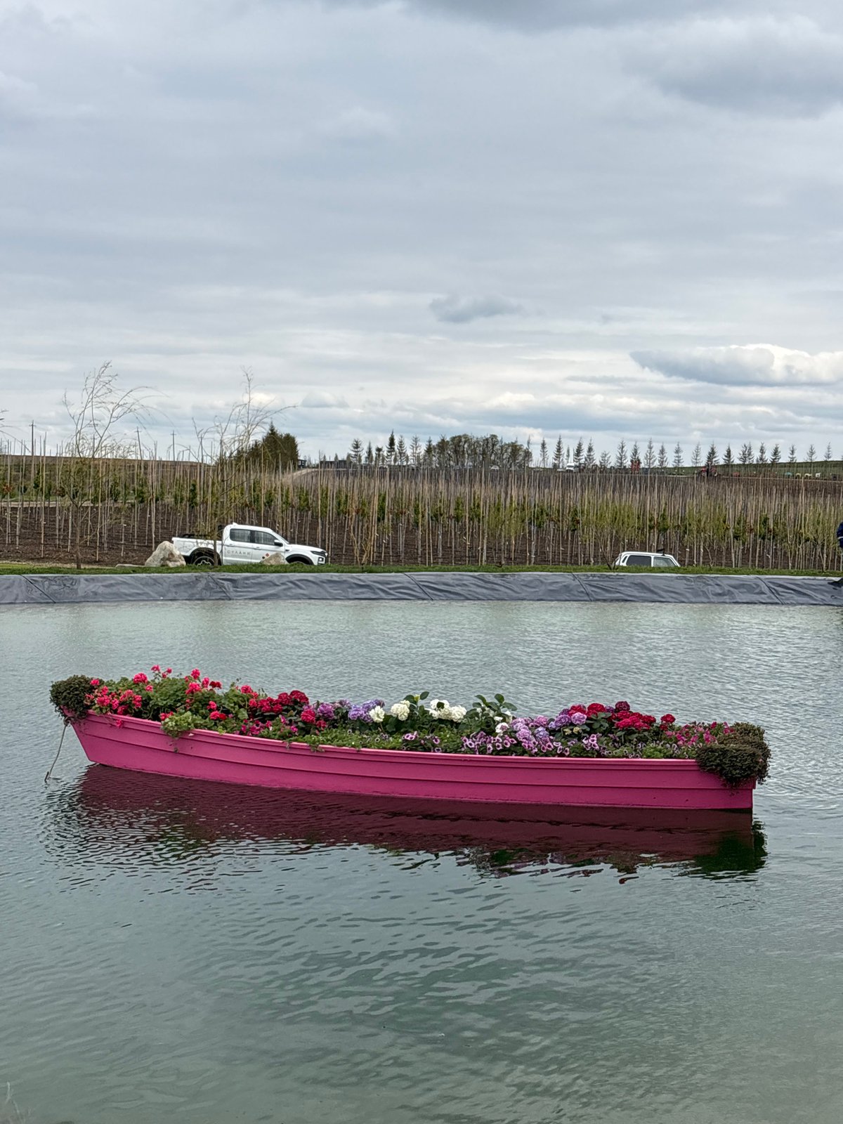 Flower-filled pink boat spotted floating in Ukrainian waters