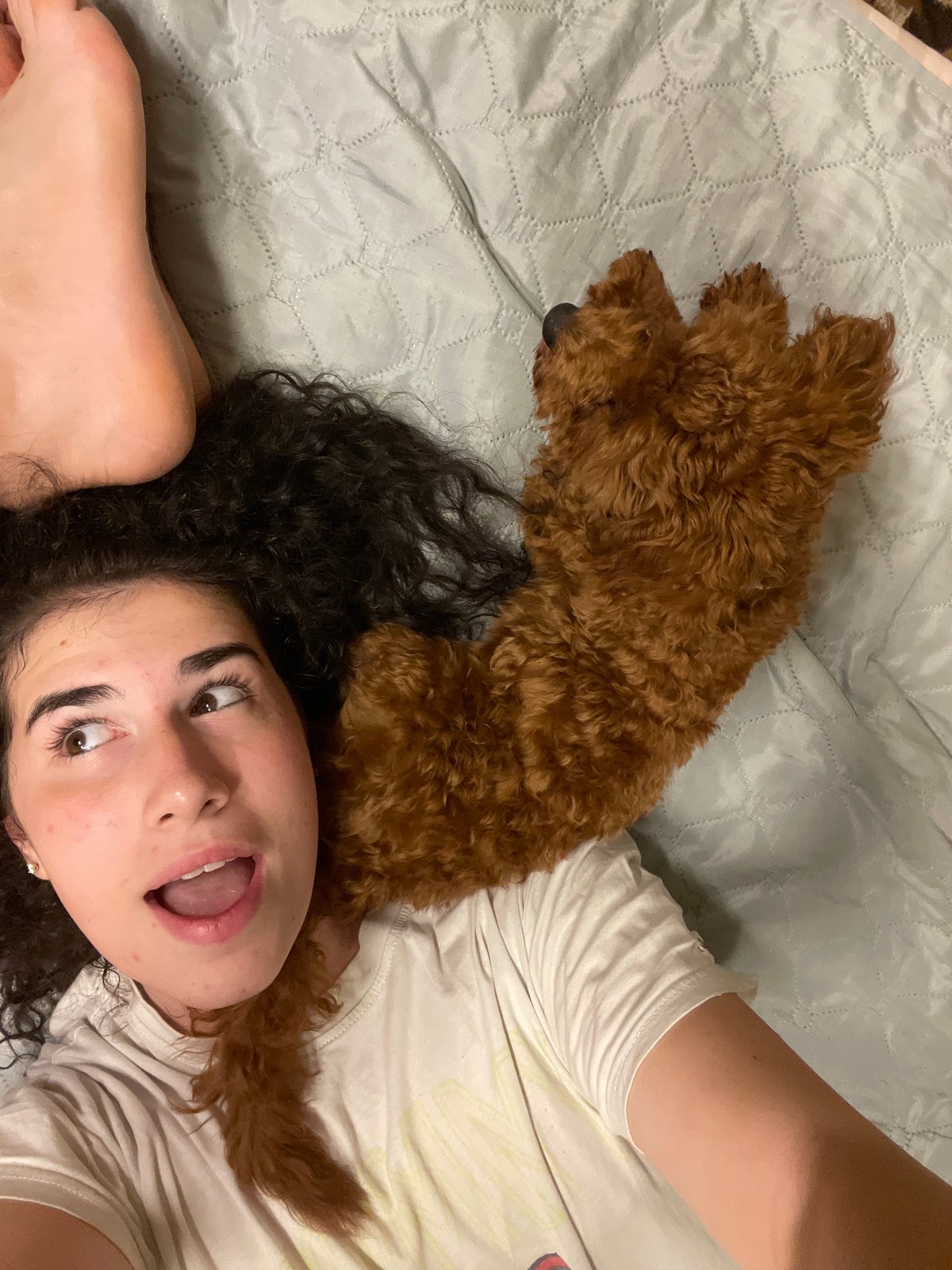 Woman enjoys evening skincare routine with poodle puppy in Sofia