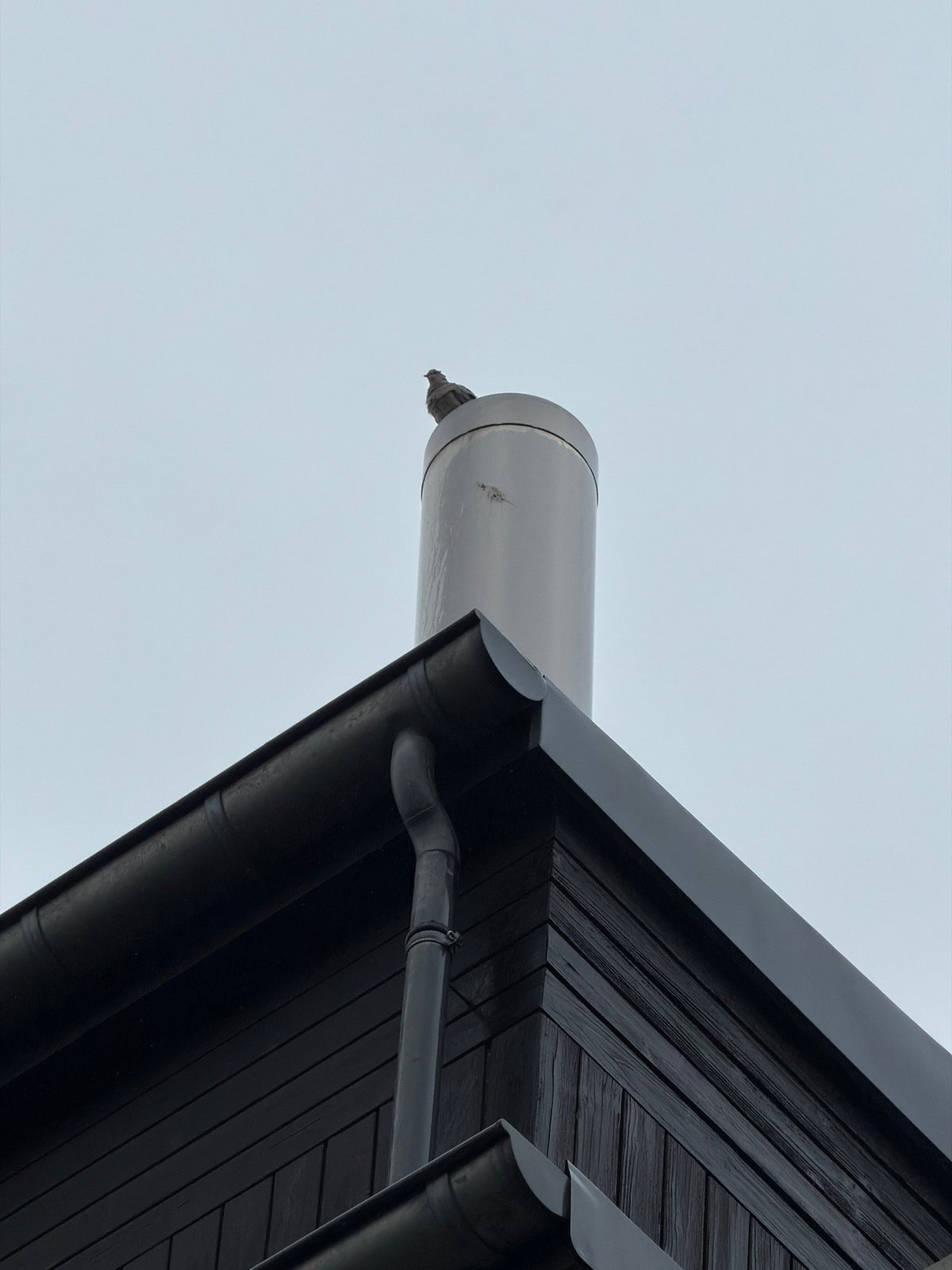 Morning observations recorded in Esch-sur-Alzette show quiet urban moments
