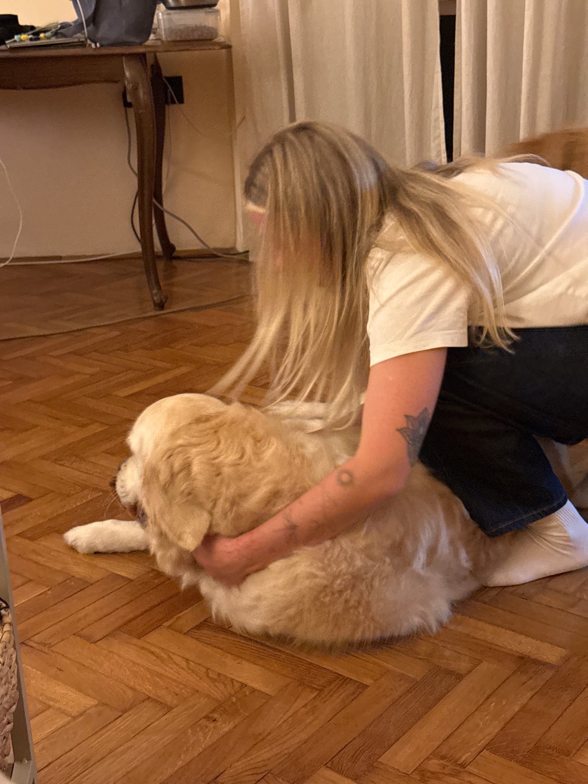 Person shares affectionate moment with dog in Belgrade home