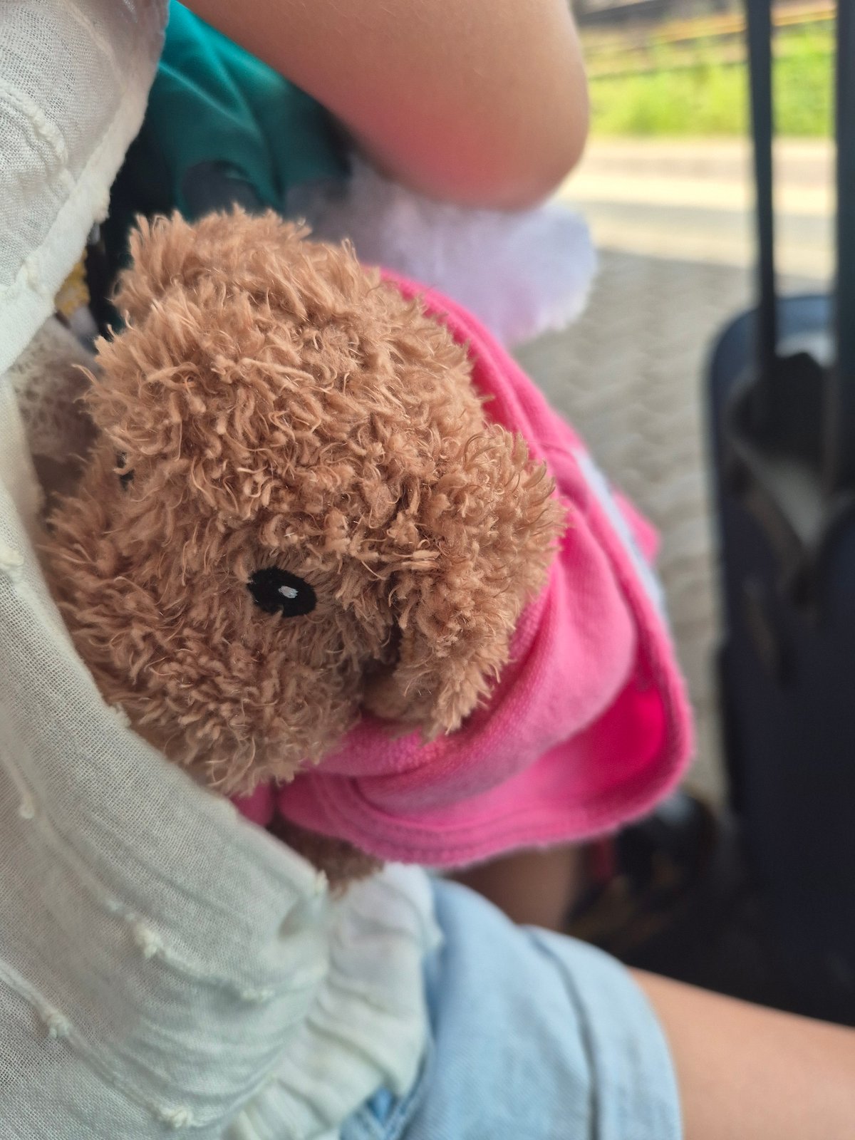 Morning at Trier Hauptbahnhof — trains, platforms, and passengers