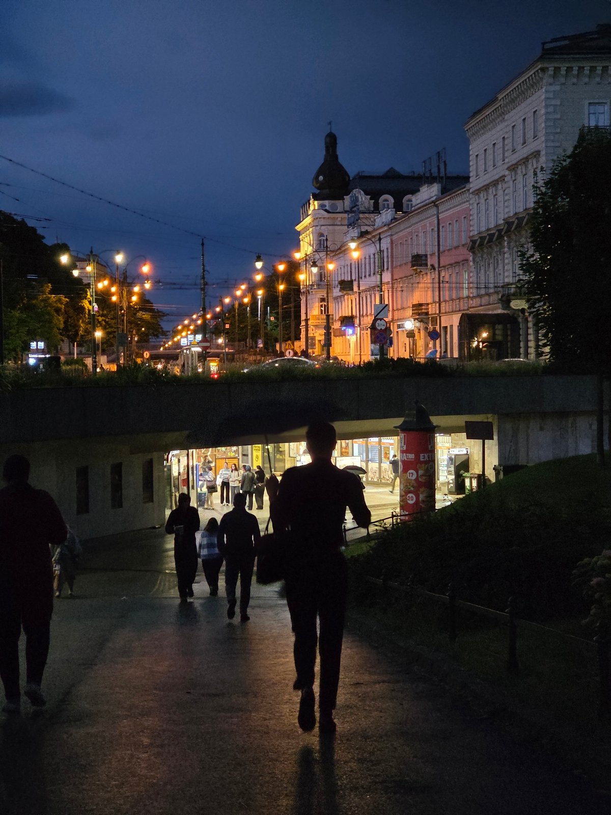 Evening stroll through historic Krakow with trams and cats