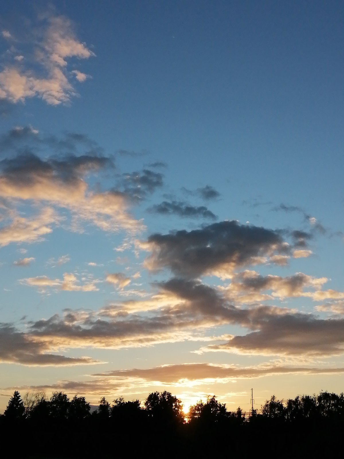 Sunset over a residential treeline, crescent moon emerging