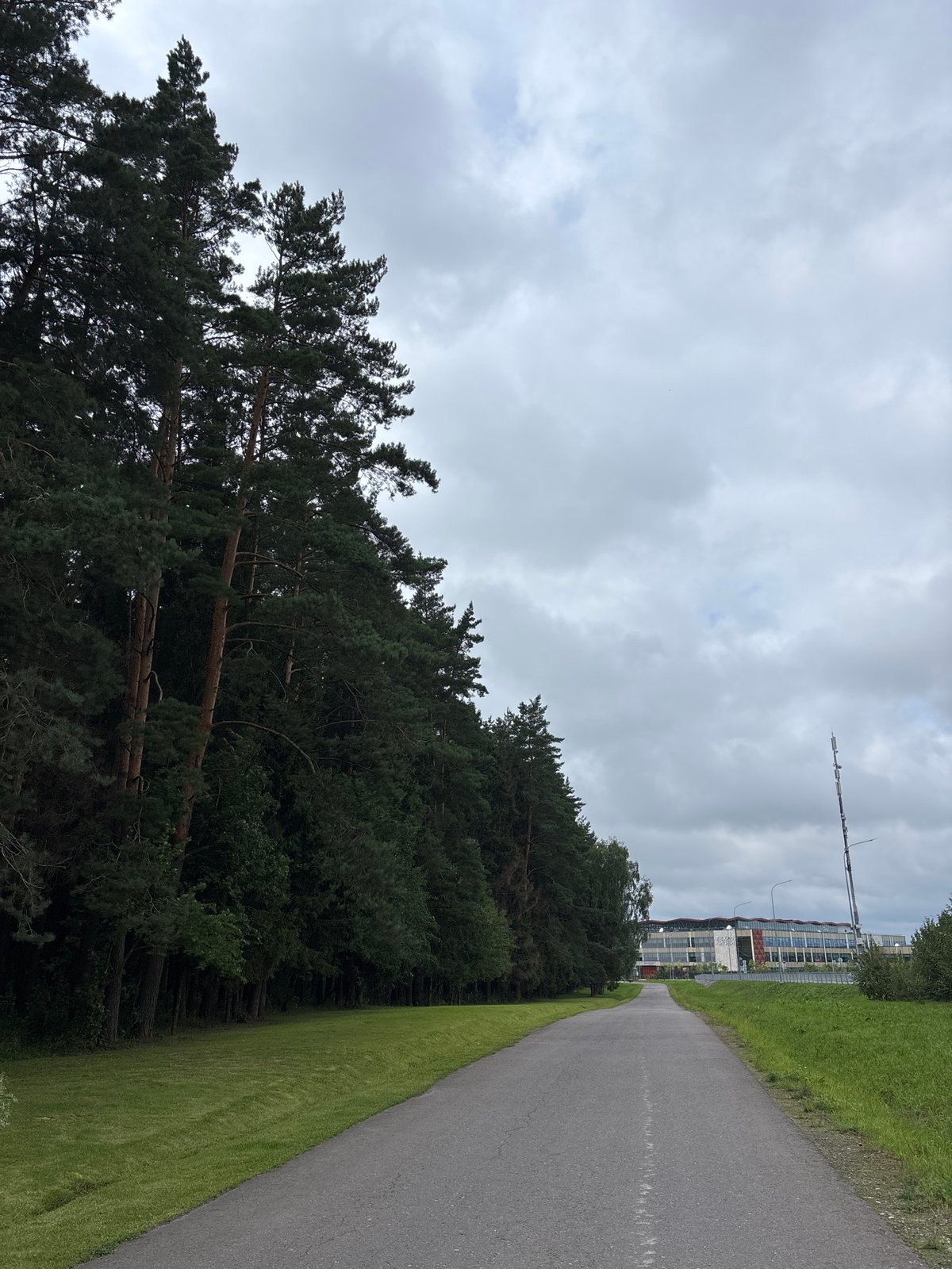 Wooded park complex in Pavlovskaya Sloboda on a cloudy summer morning