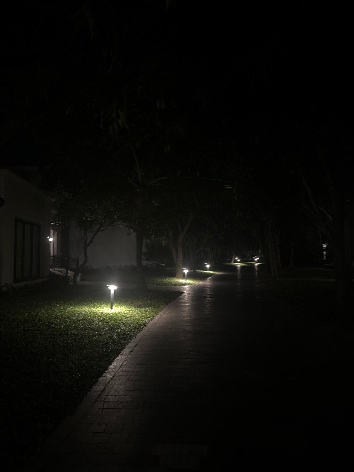 Casual dining and personal moments captured at unknown venue