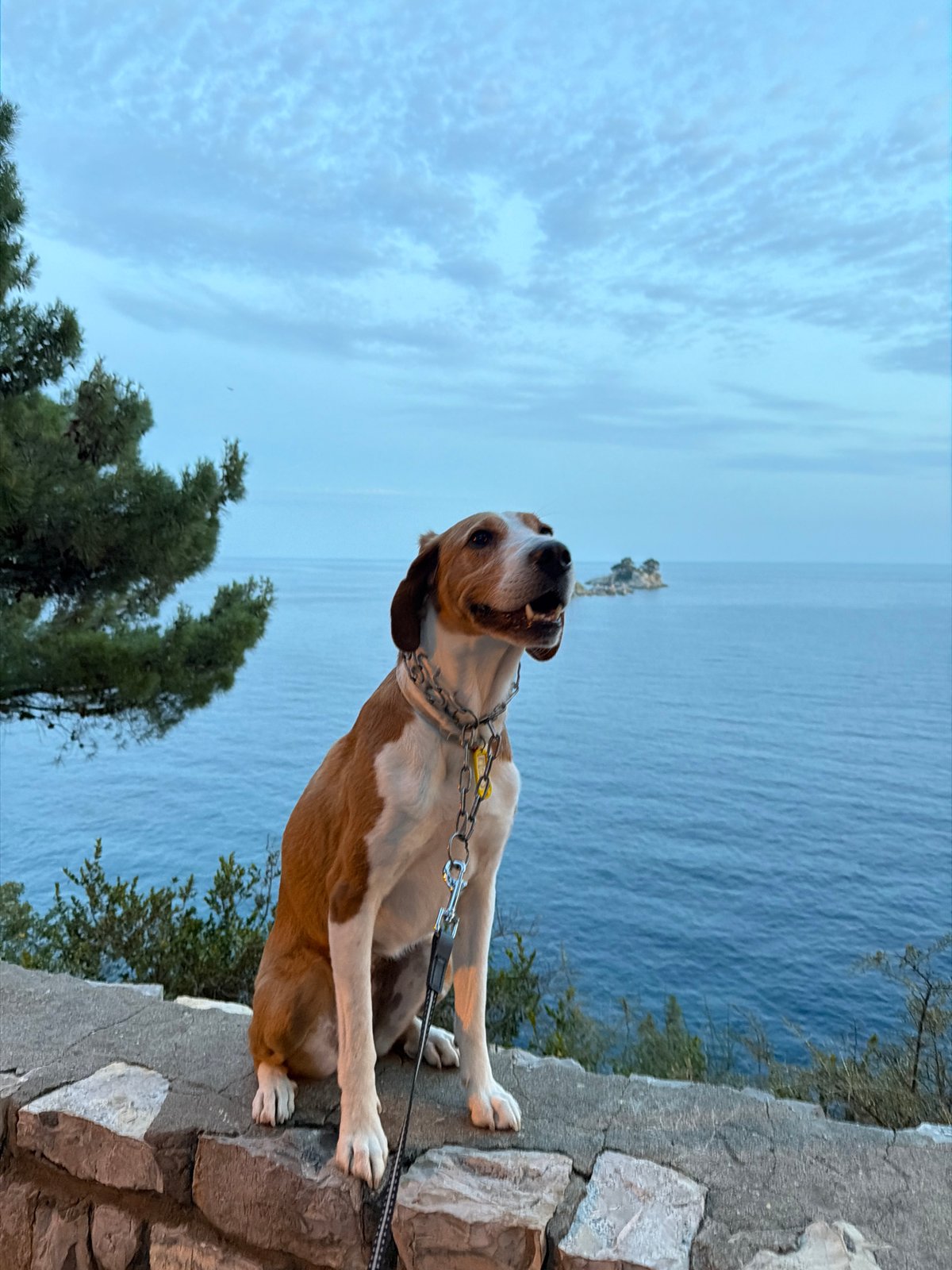 Man documents afternoon with selfies around Petrovac, Montenegro