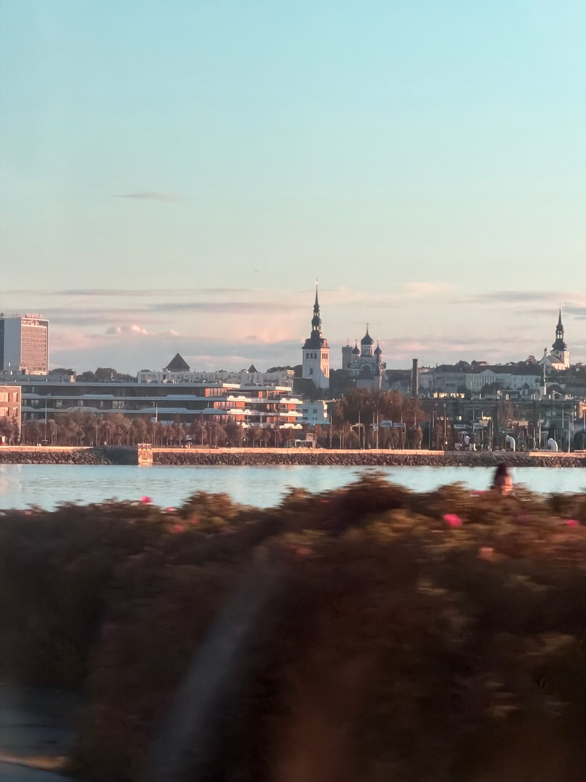 Tallinn waterfront and skyline views during golden hour