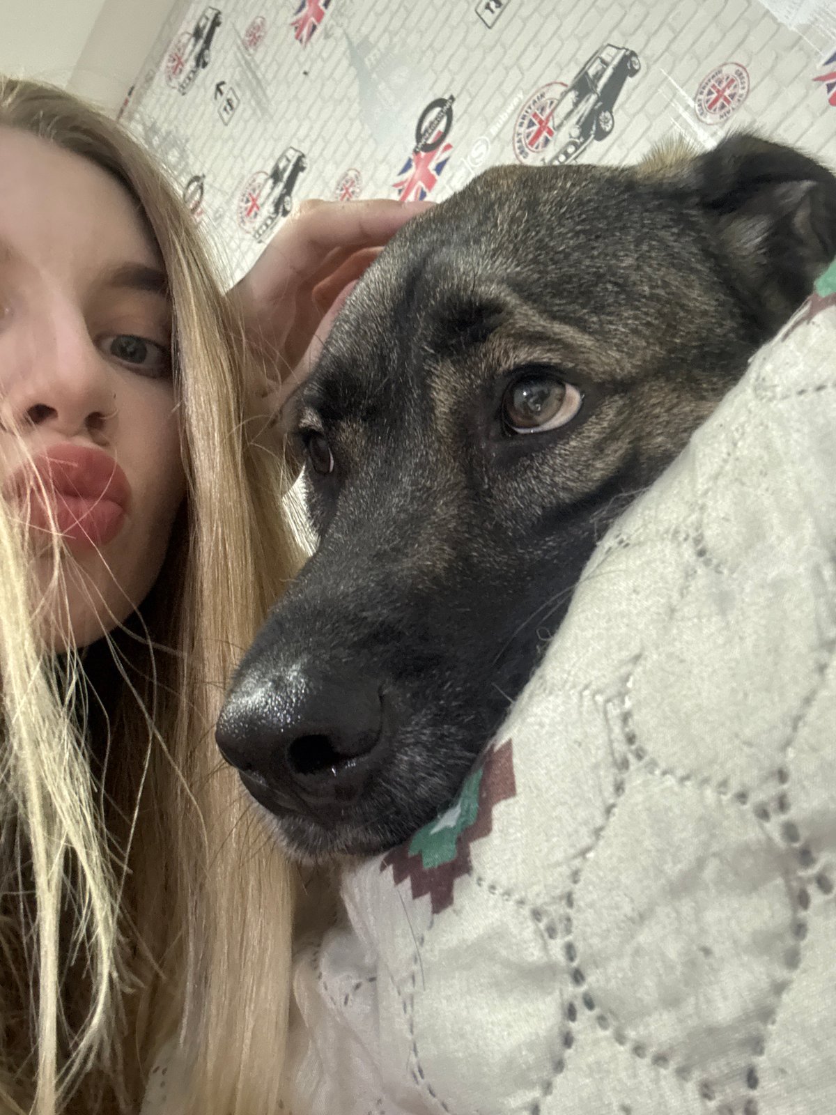 Dogs, selfies, and apartment life in Omsk