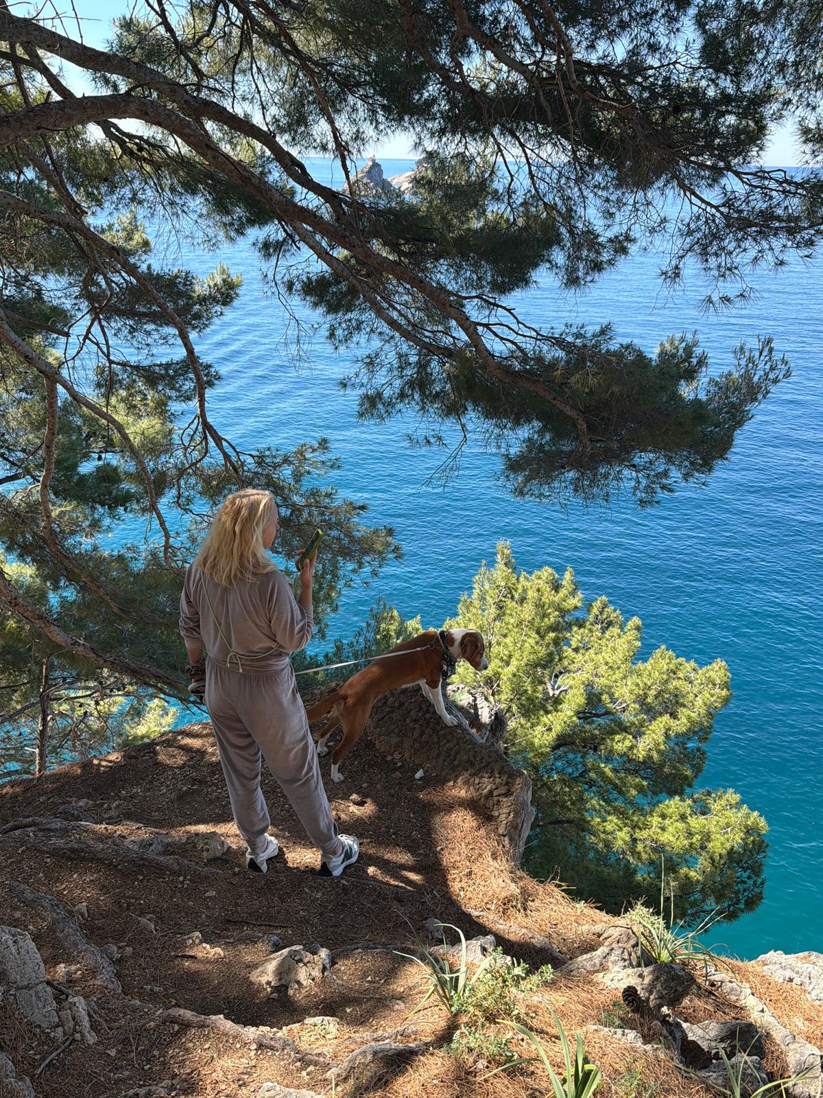 Woman walks dogs on Montenegro cliff overlooking sea