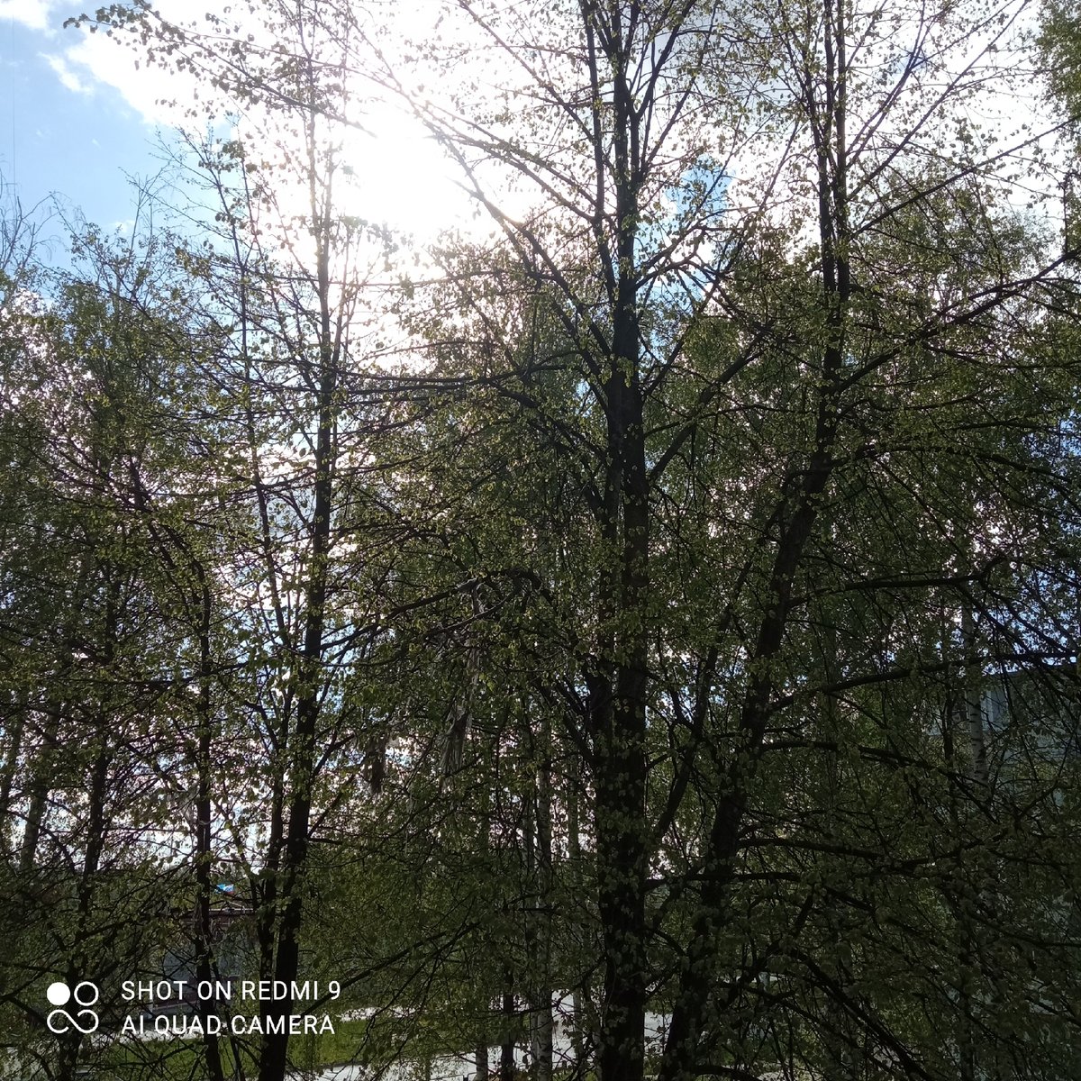 Ordinary moments documented across Chaikovsky, Russia in ten-minute span