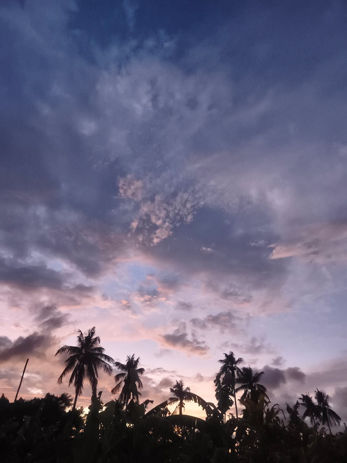 Tropical sunset documented in Baan Mae Nam Thailand